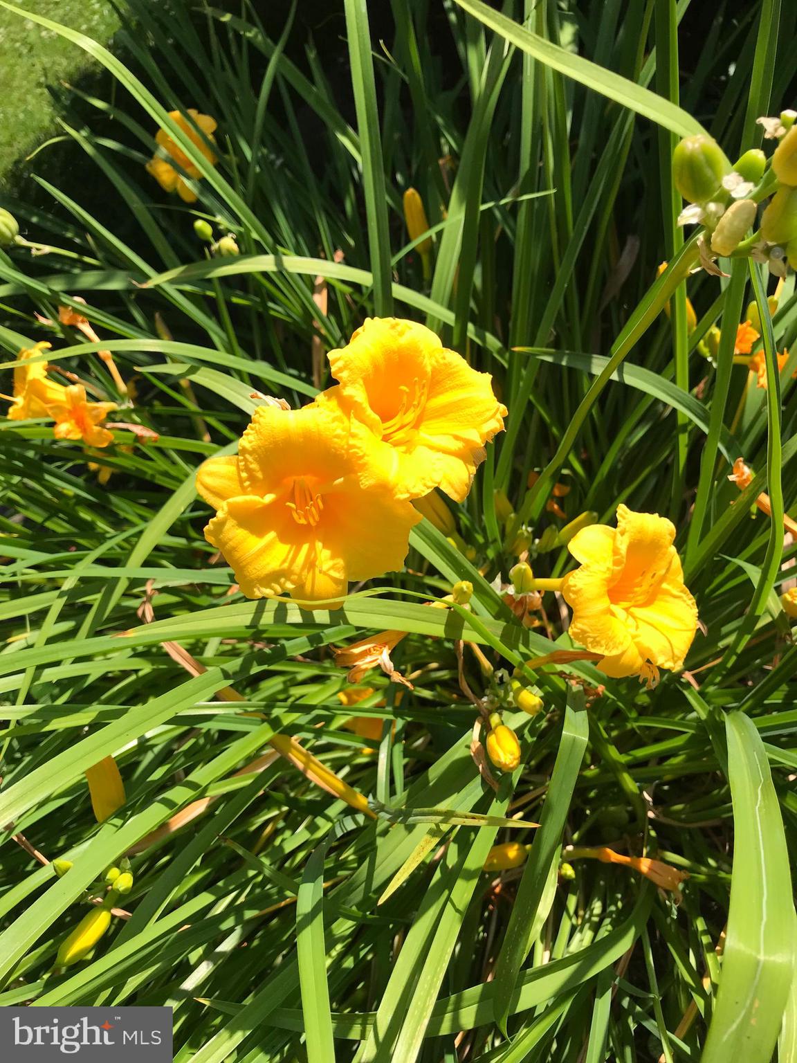 HISTORIC HARPERS FERRY - Residential