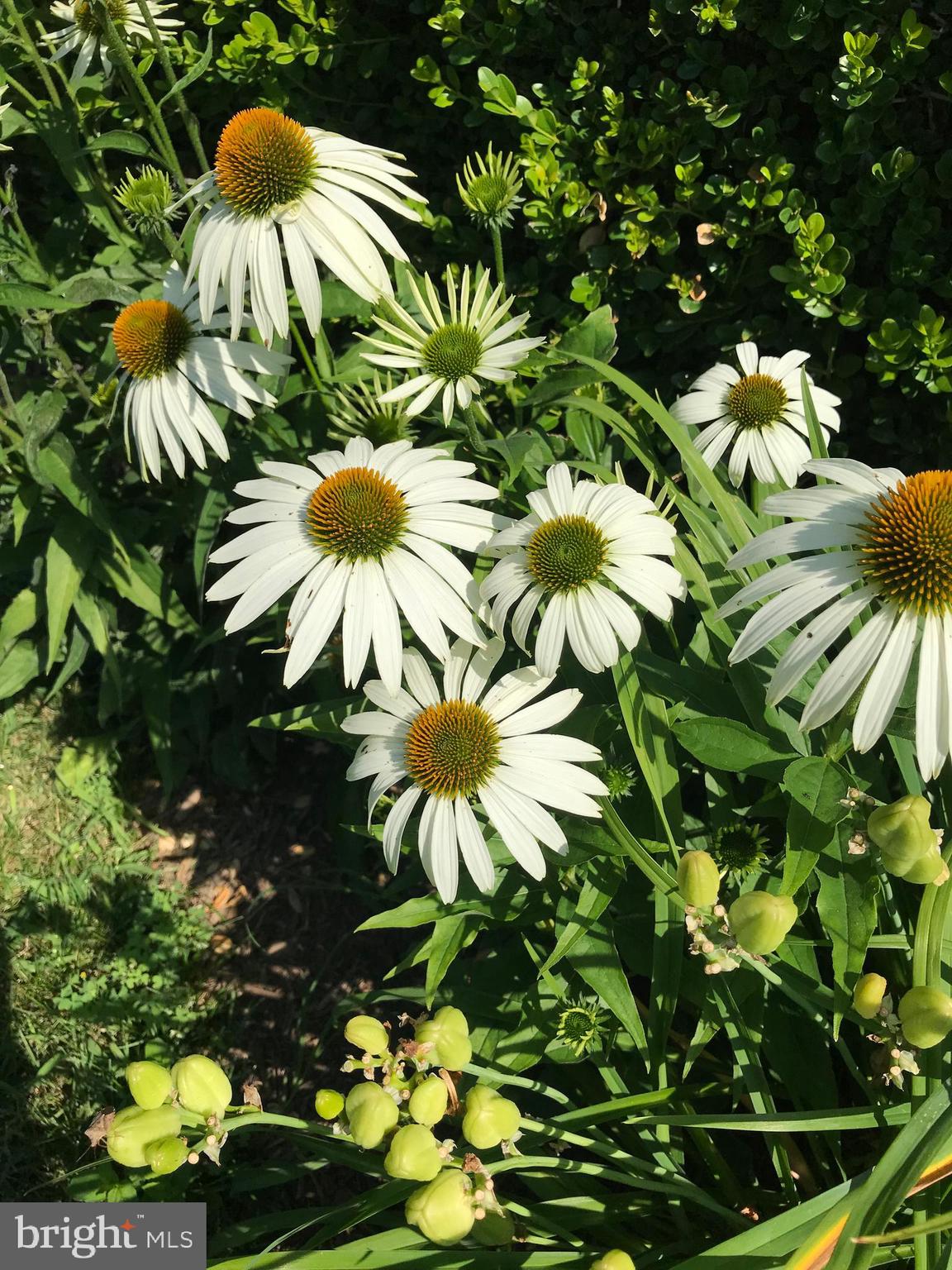 HISTORIC HARPERS FERRY - Residential
