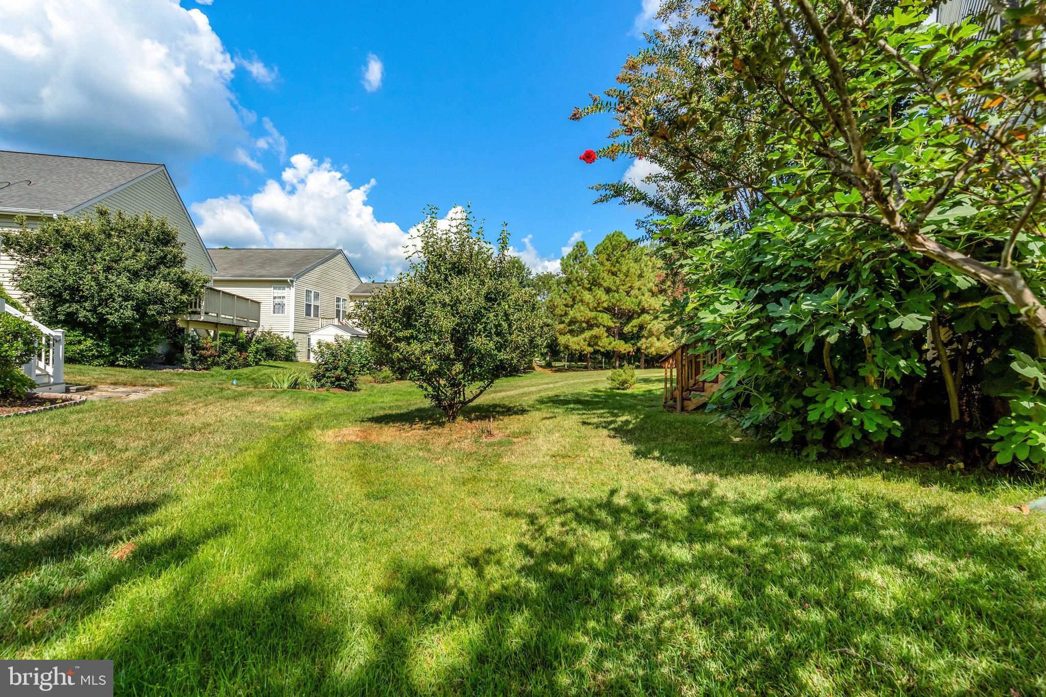 VINT HILL - Residential