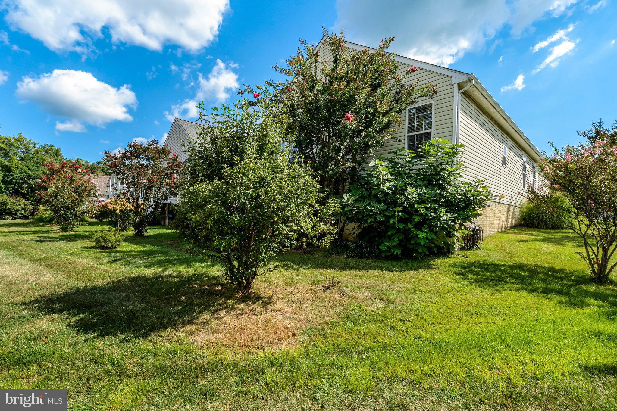 VINT HILL - Residential