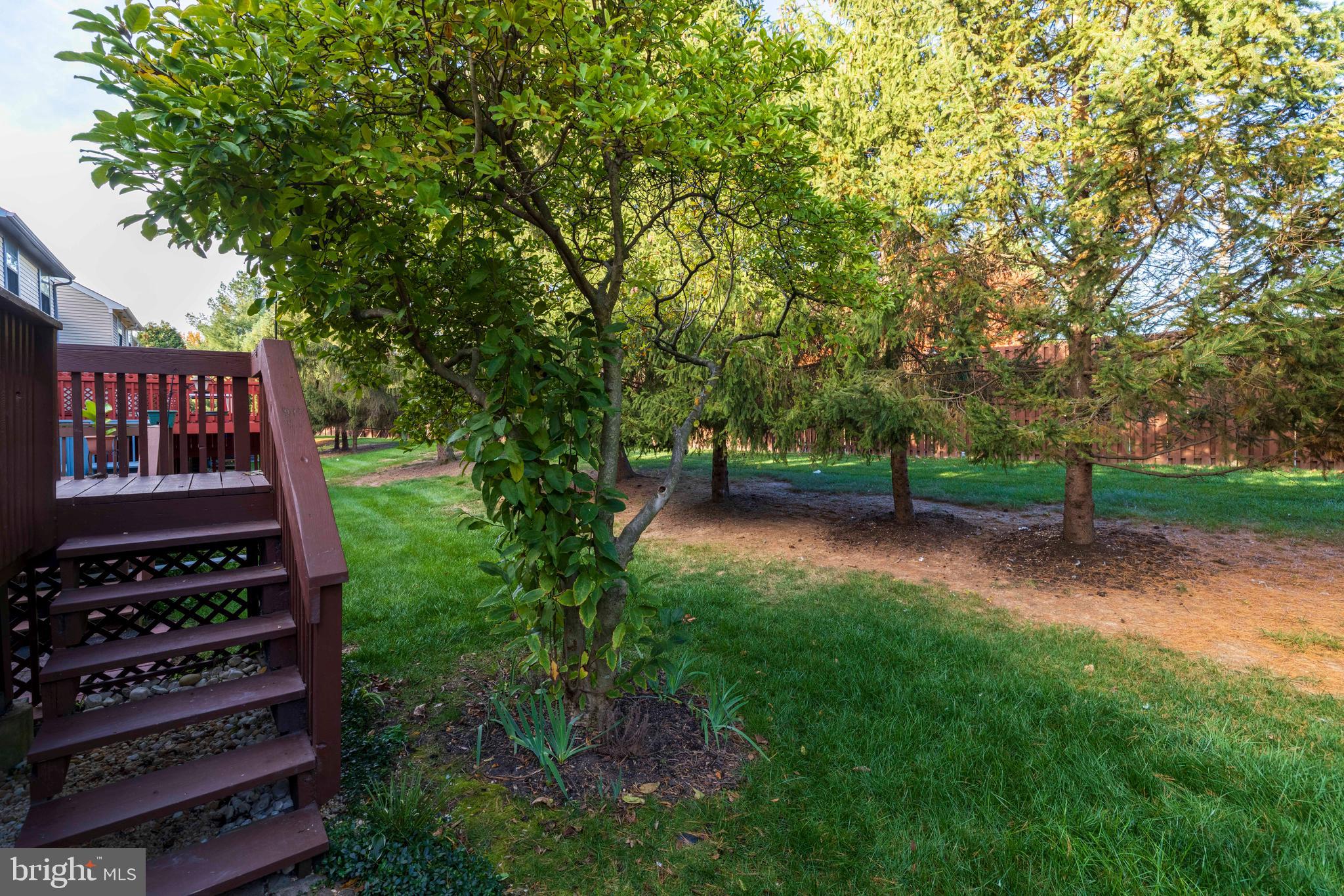 MONTGOMERY GLEN - Residential