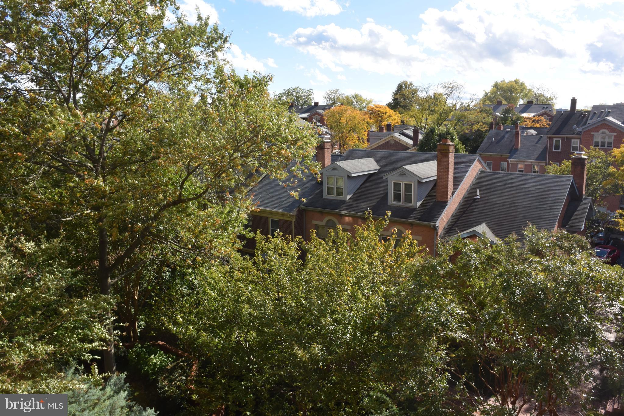 OLD TOWN - Residential Lease