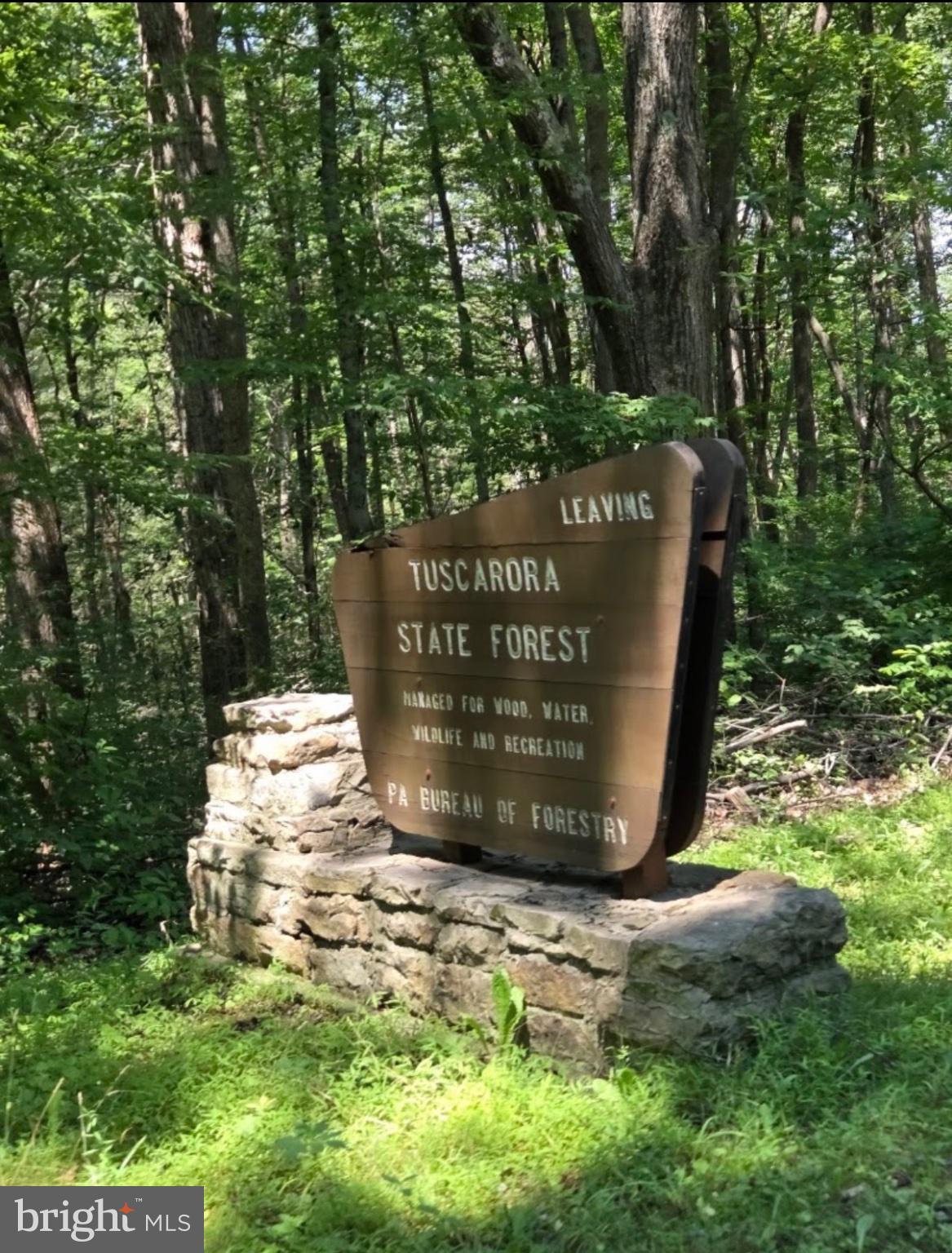 24 SPRING LANE