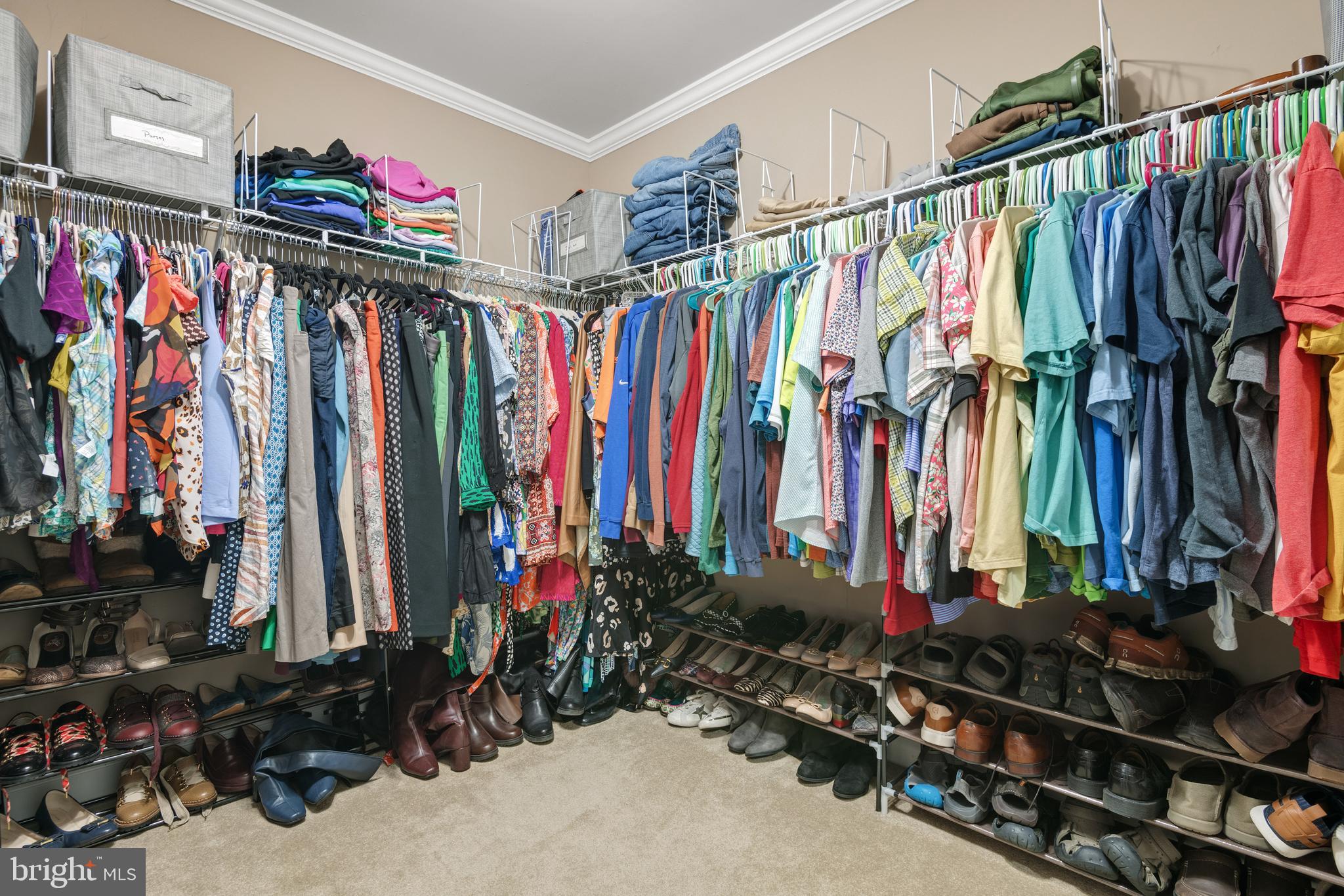 KOLLER POINTE - Residential