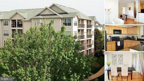 1600 SPRING GATE DRIVE 2303 MCLEAN VA 22102