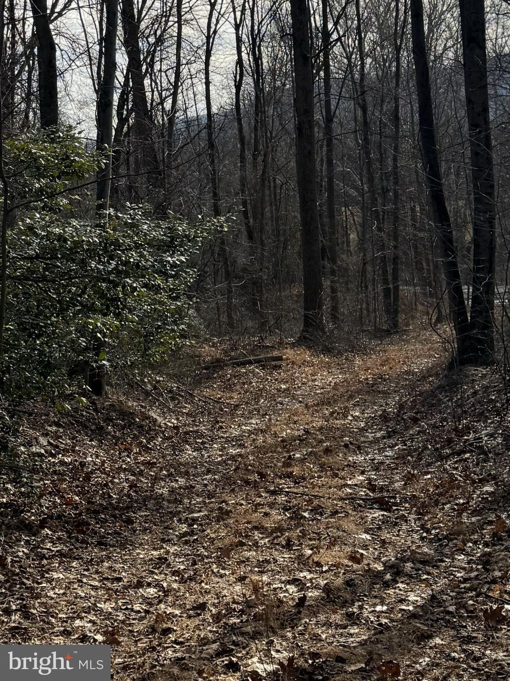 Photo of Corner Of Poplar Ridge Ln &amp; Mountain Rd, DAUPHIN, PA 17018 (MLS # PADA2056140)