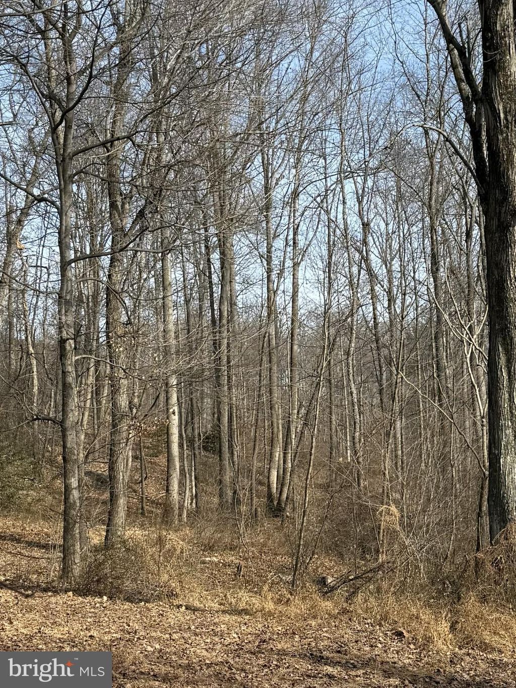 Photo of Corner Of Poplar Ridge Ln &amp; Mountain Rd, DAUPHIN, PA 17018 (MLS # PADA2056140)