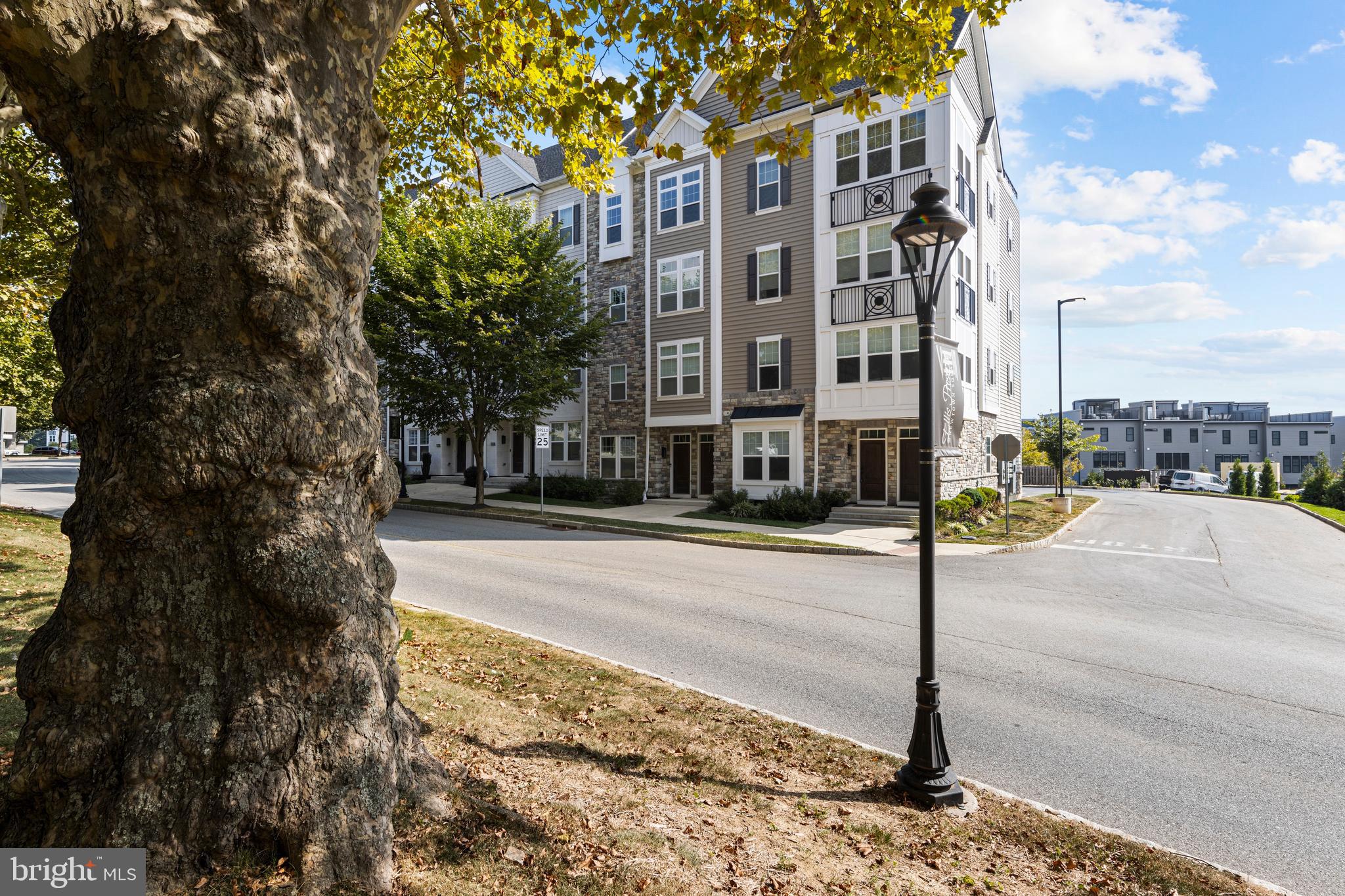 NEWTOWN WALK AT ELLIS PRESERVE - Residential