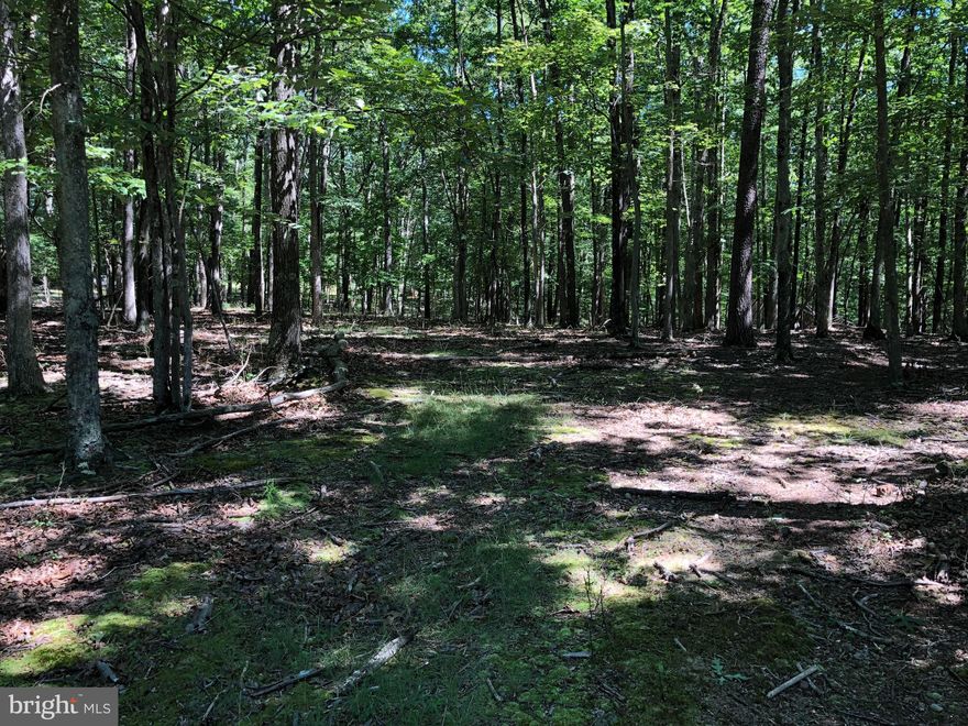 Nice wooded building lot in Southern Morgan County.  Lot is level with winter mountain views. Close to VA line . Not far from Cacapon State Park for recreational activities. No HOA dues.  Perfect for a weekend getaway, can be used for camping, hunting, or a full time residence.