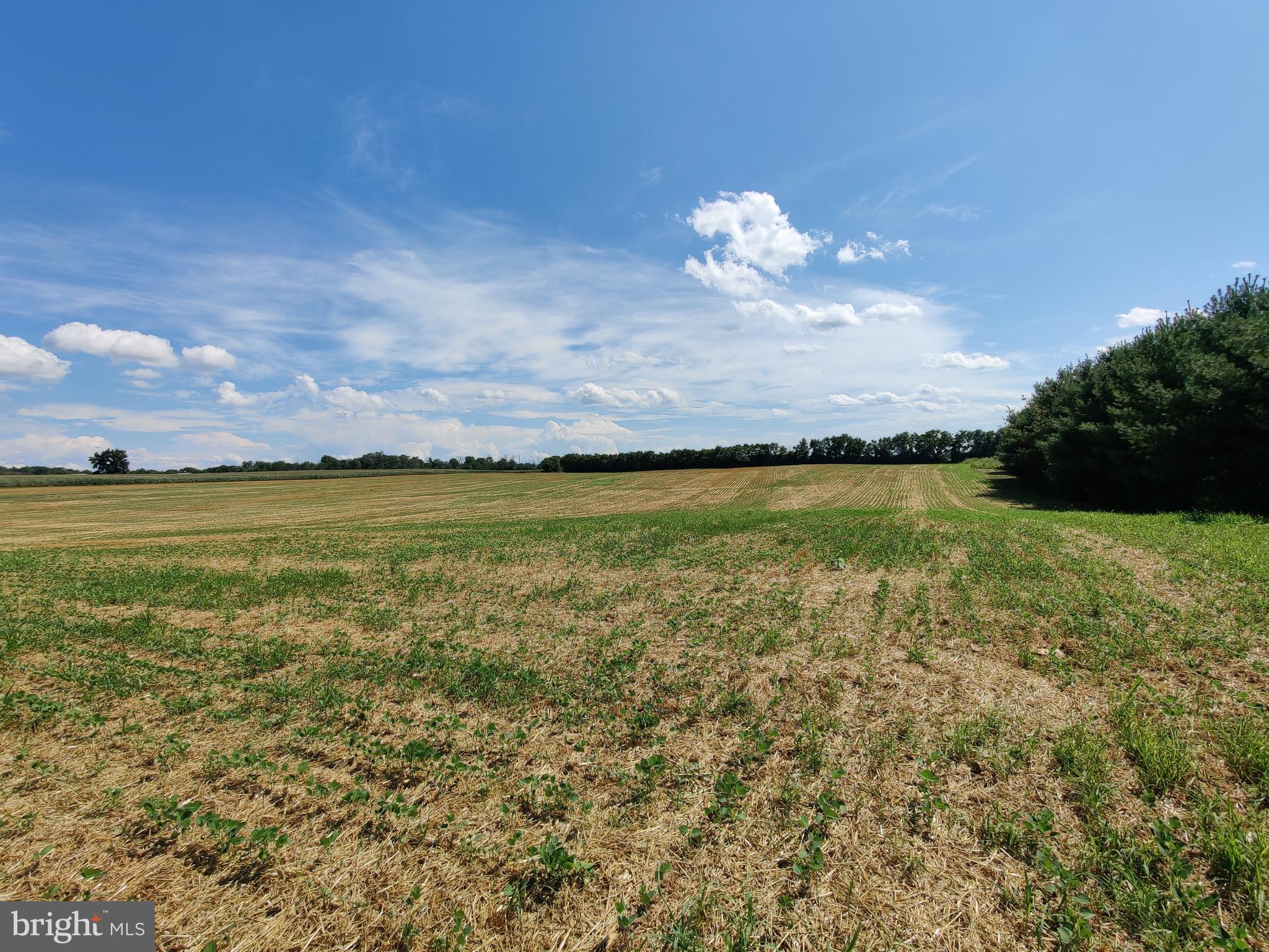 ANTRIM - Commercial Sale