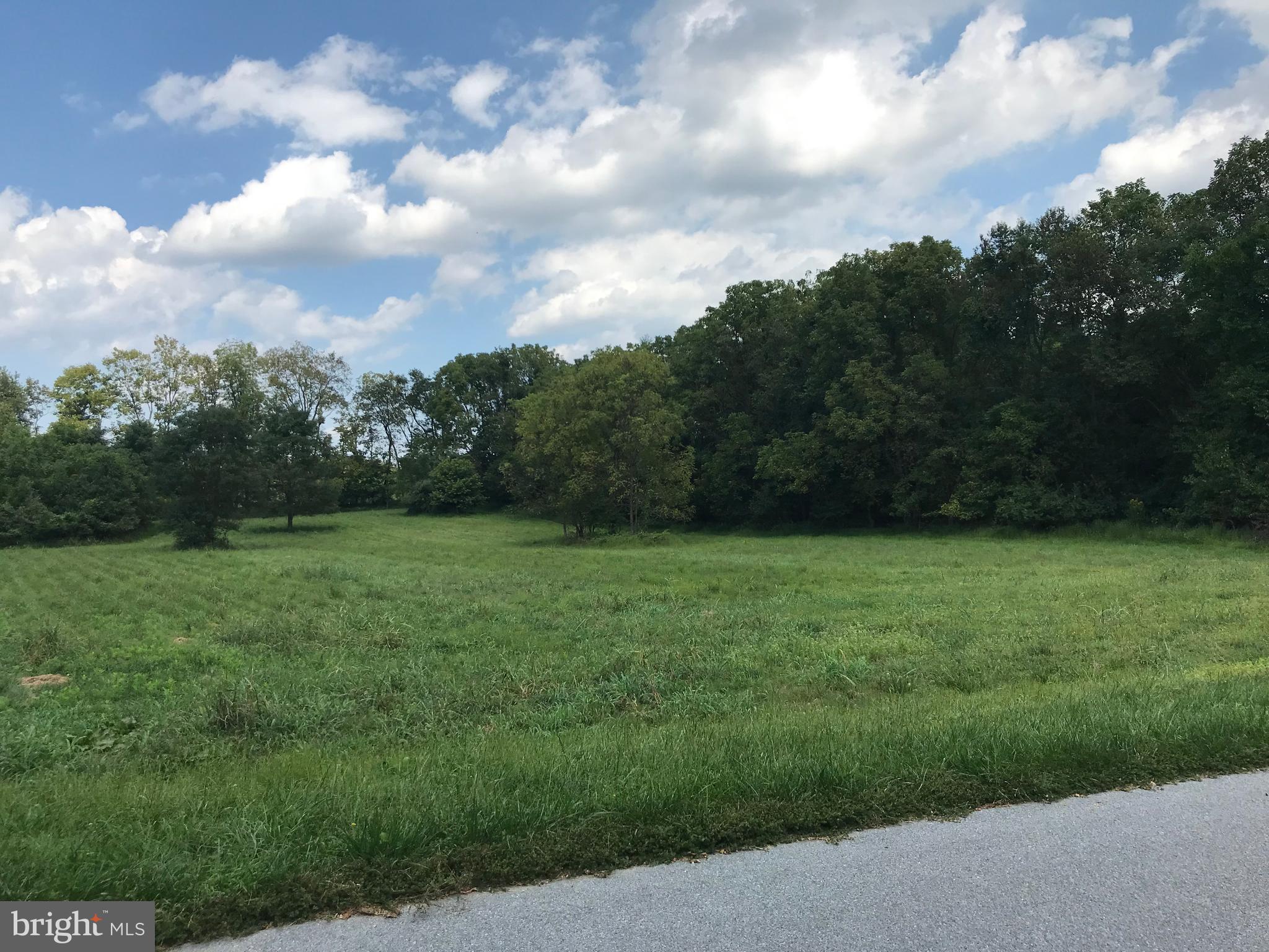 8317 PROPHET ACRES ROAD LOT 11