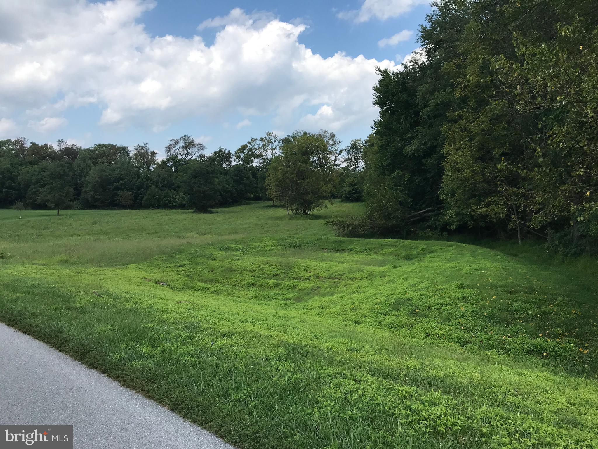 8317 PROPHET ACRES ROAD LOT 11