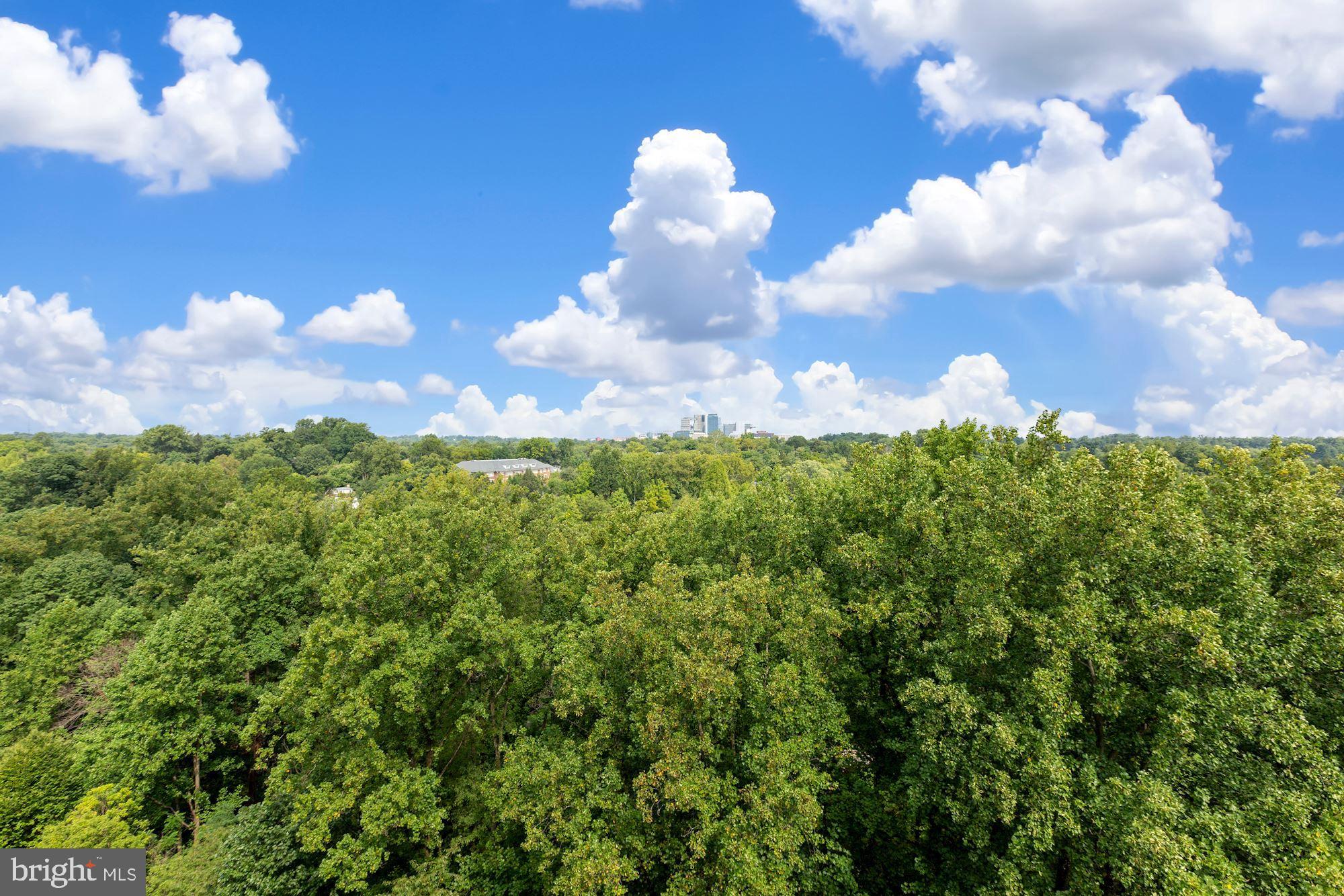 SOMERSET HOUSE CONDOS - Residential