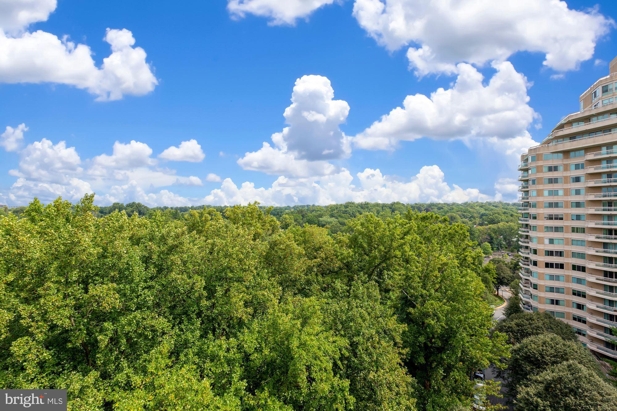 SOMERSET HOUSE CONDOS - Residential