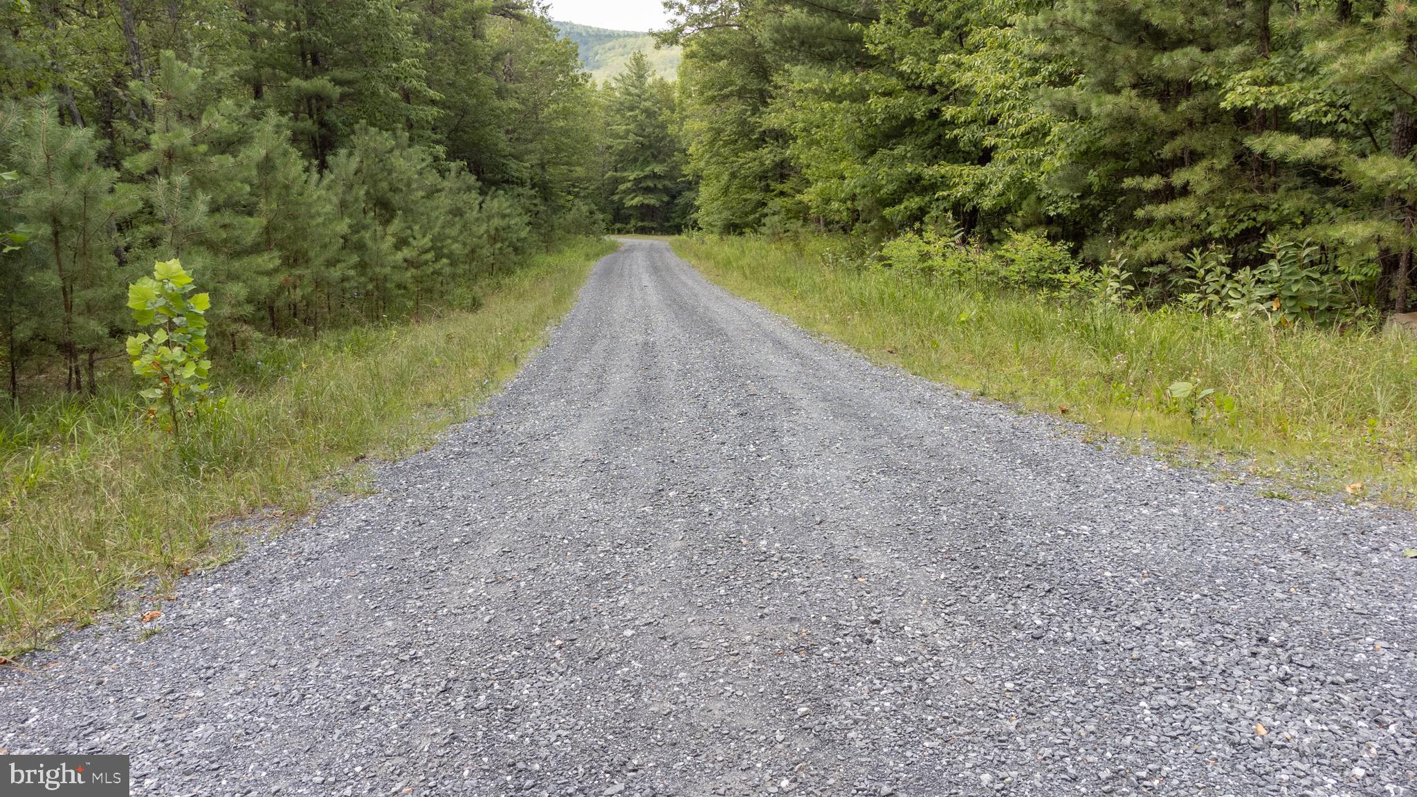 TBD BIRDS NEST RD, LOT 51