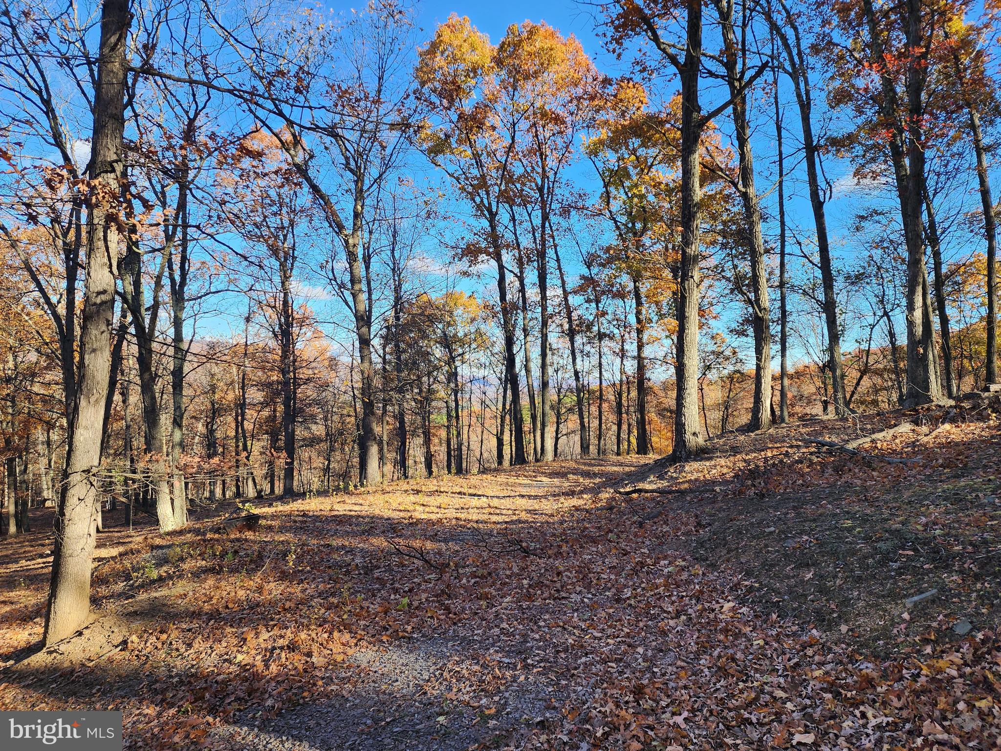 SHADOW KNOLLS - Land