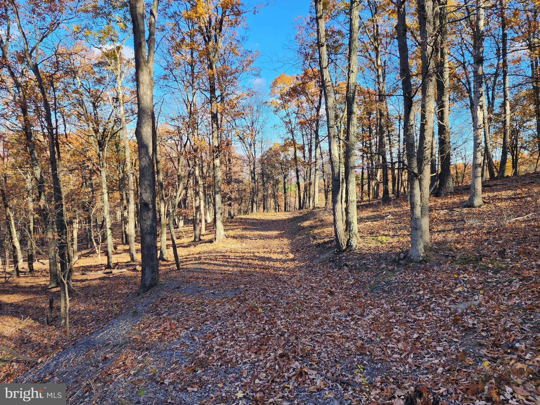 SHADOW KNOLLS - Land