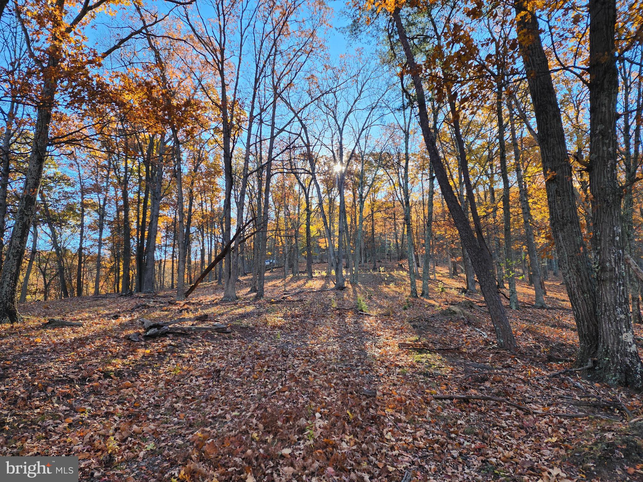 SHADOW KNOLLS - Land