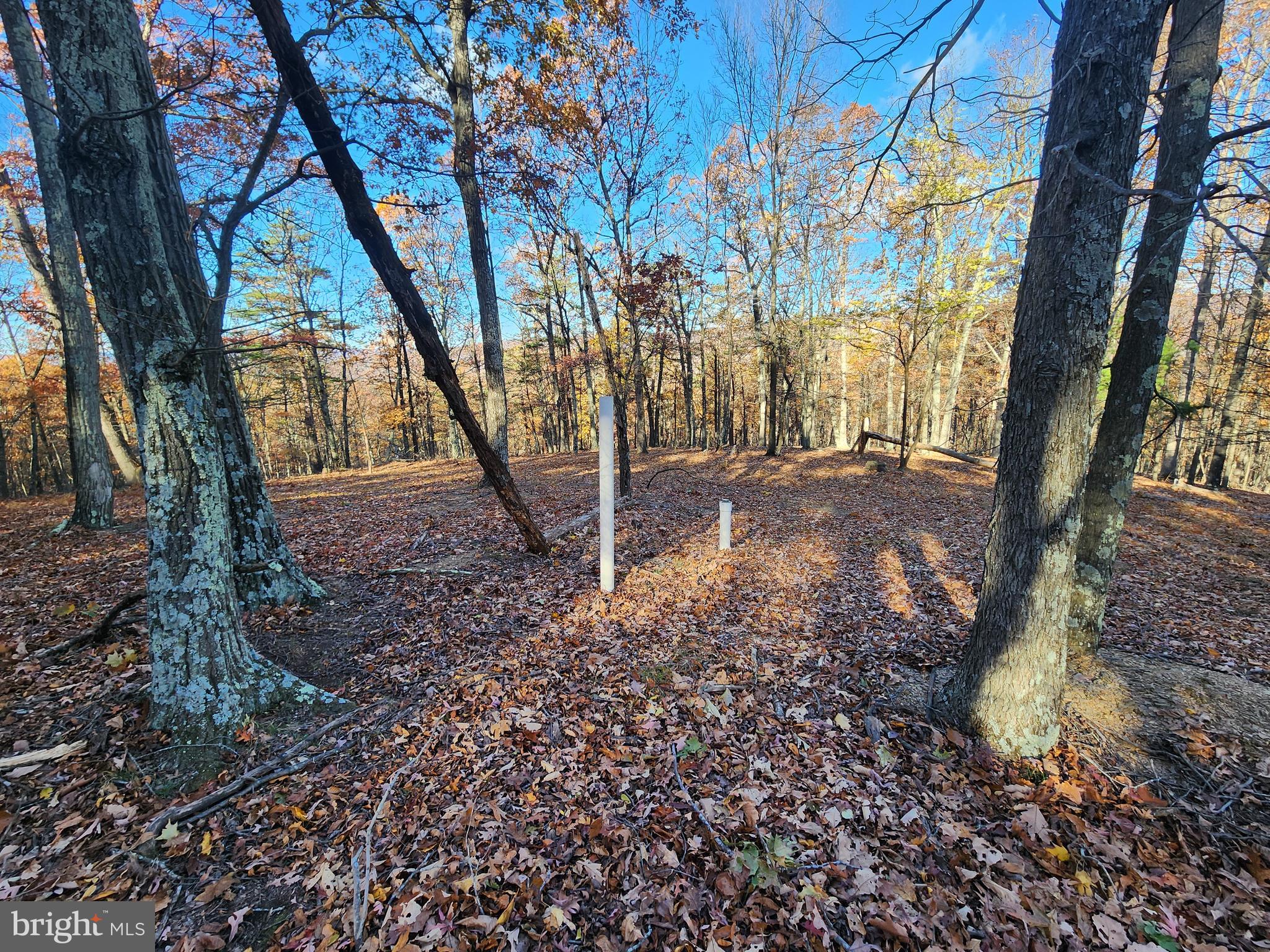 SHADOW KNOLLS - Land