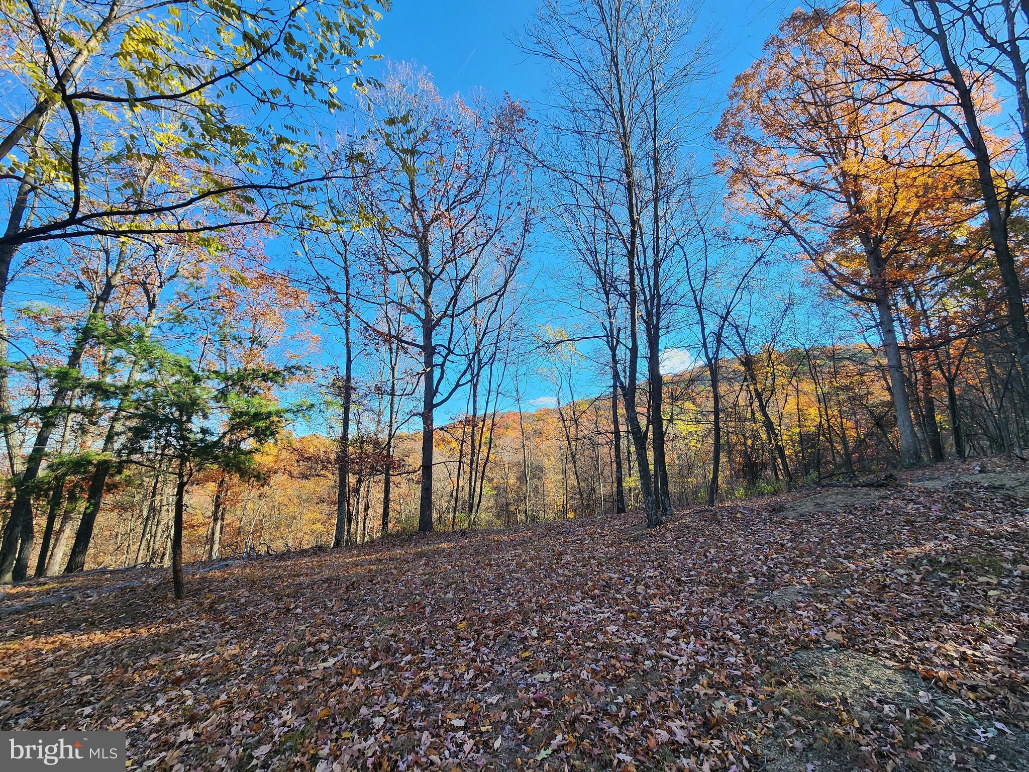 SHADOW KNOLLS - Land