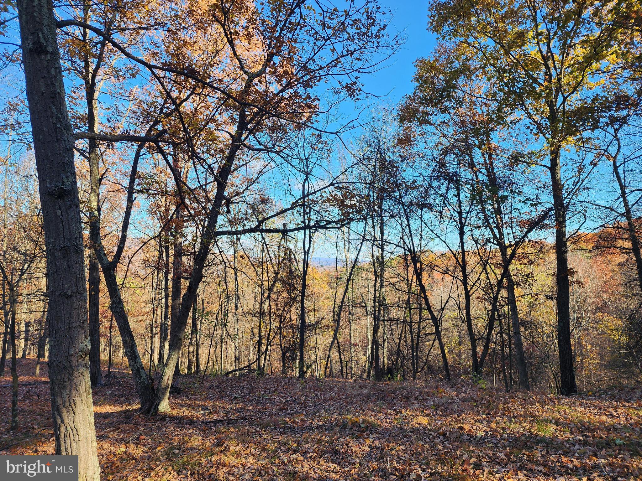 SHADOW KNOLLS - Land