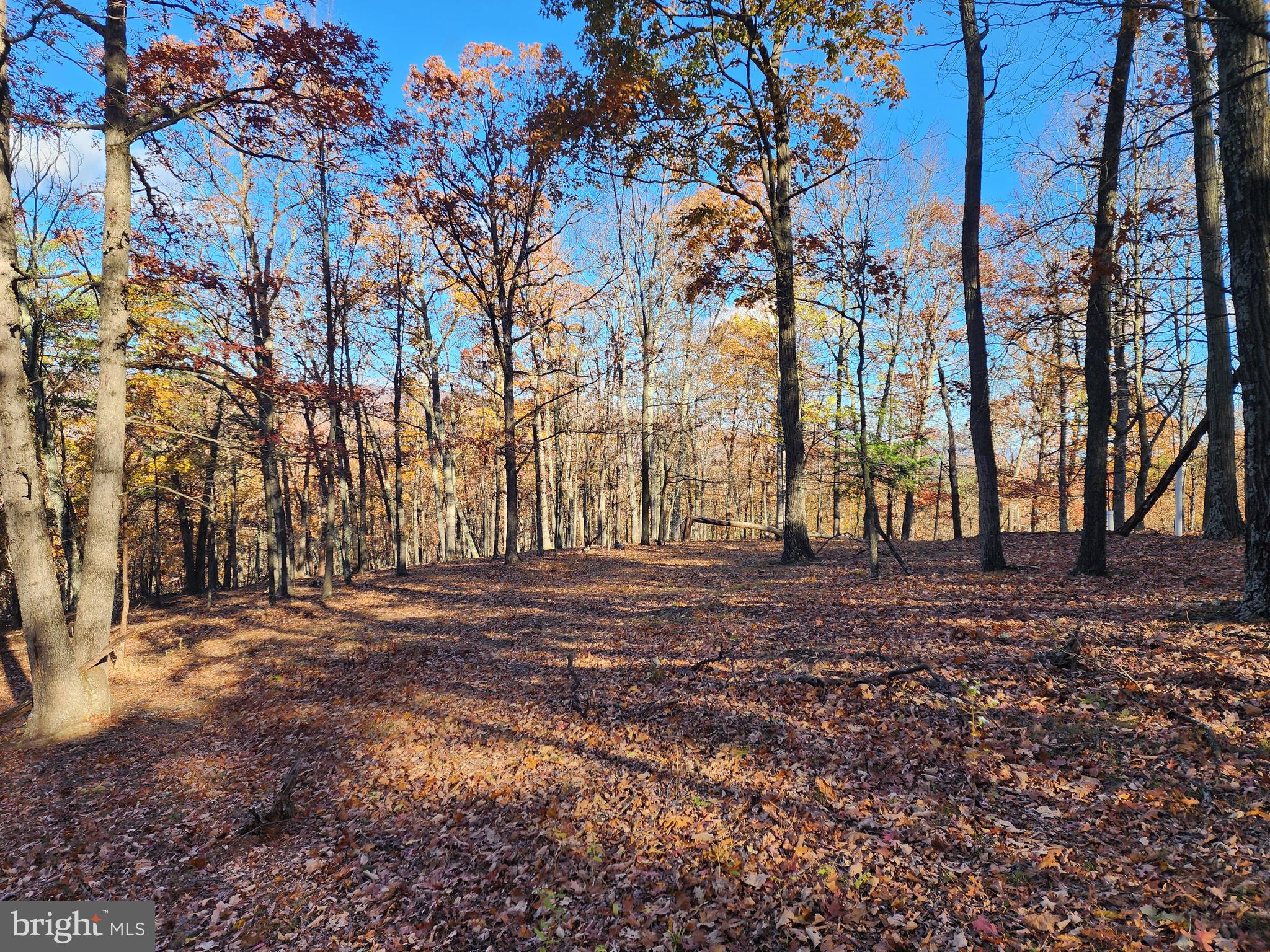 SHADOW KNOLLS - Land