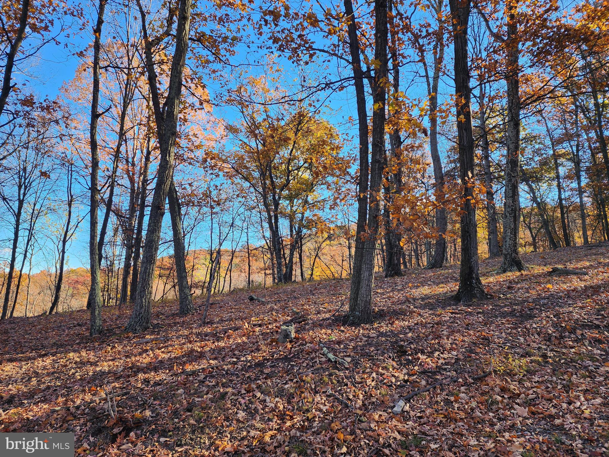 SHADOW KNOLLS - Land