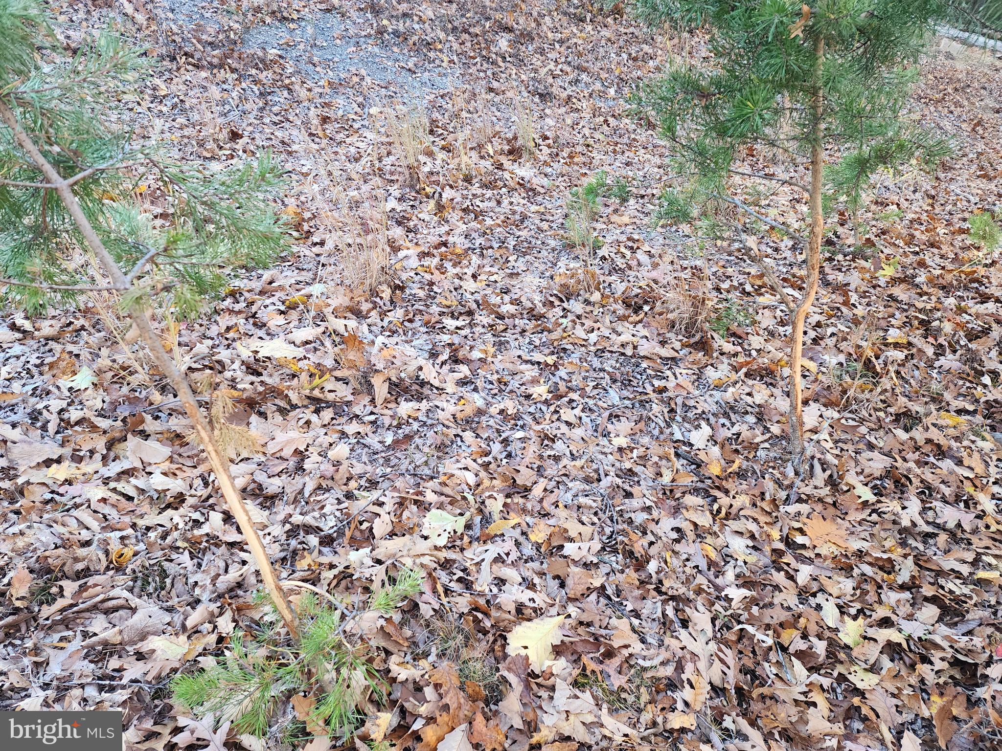 SHADOW KNOLLS - Land