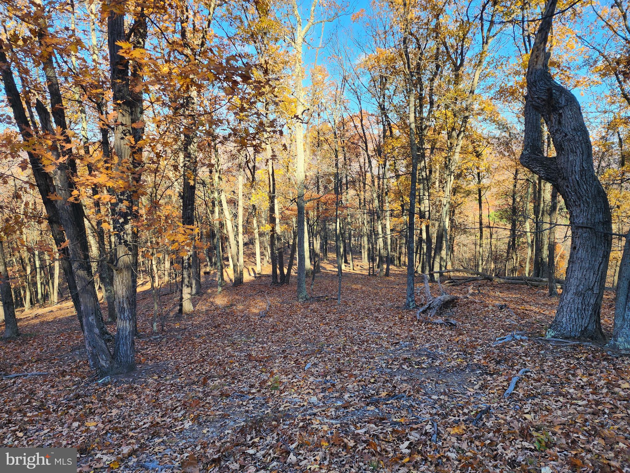 SHADOW KNOLLS - Land