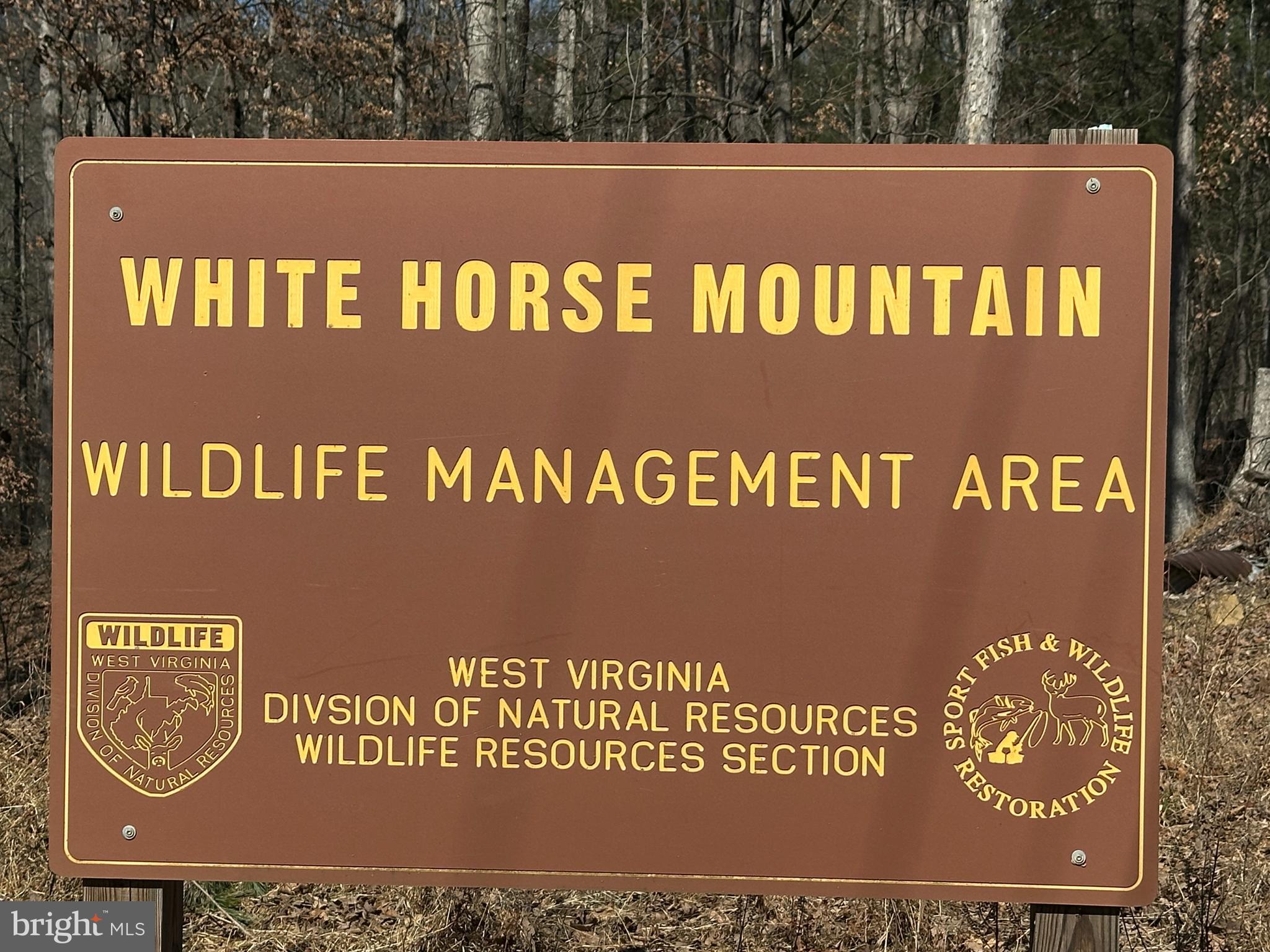 SHADOW KNOLLS - Land