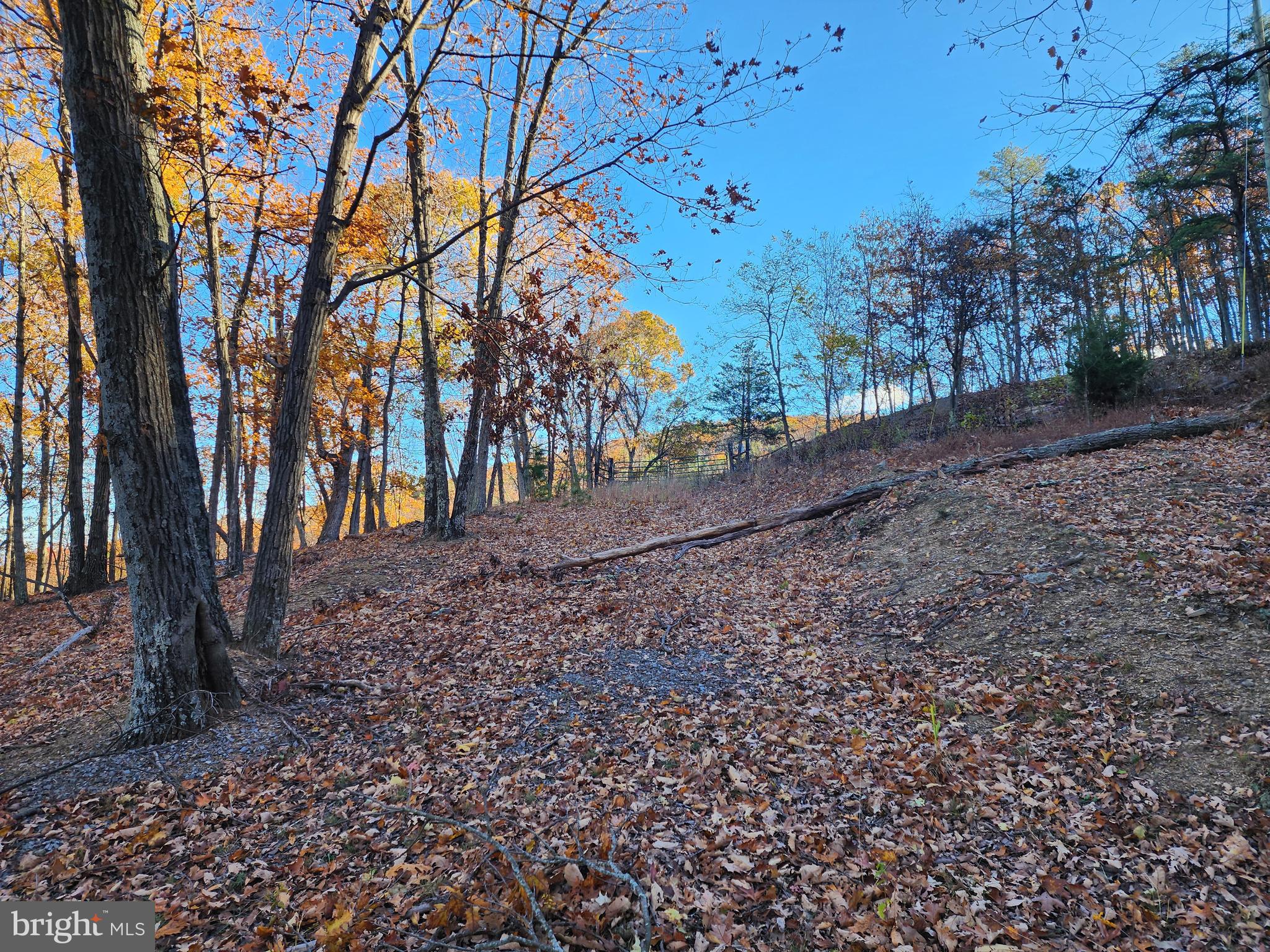 SHADOW KNOLLS - Land