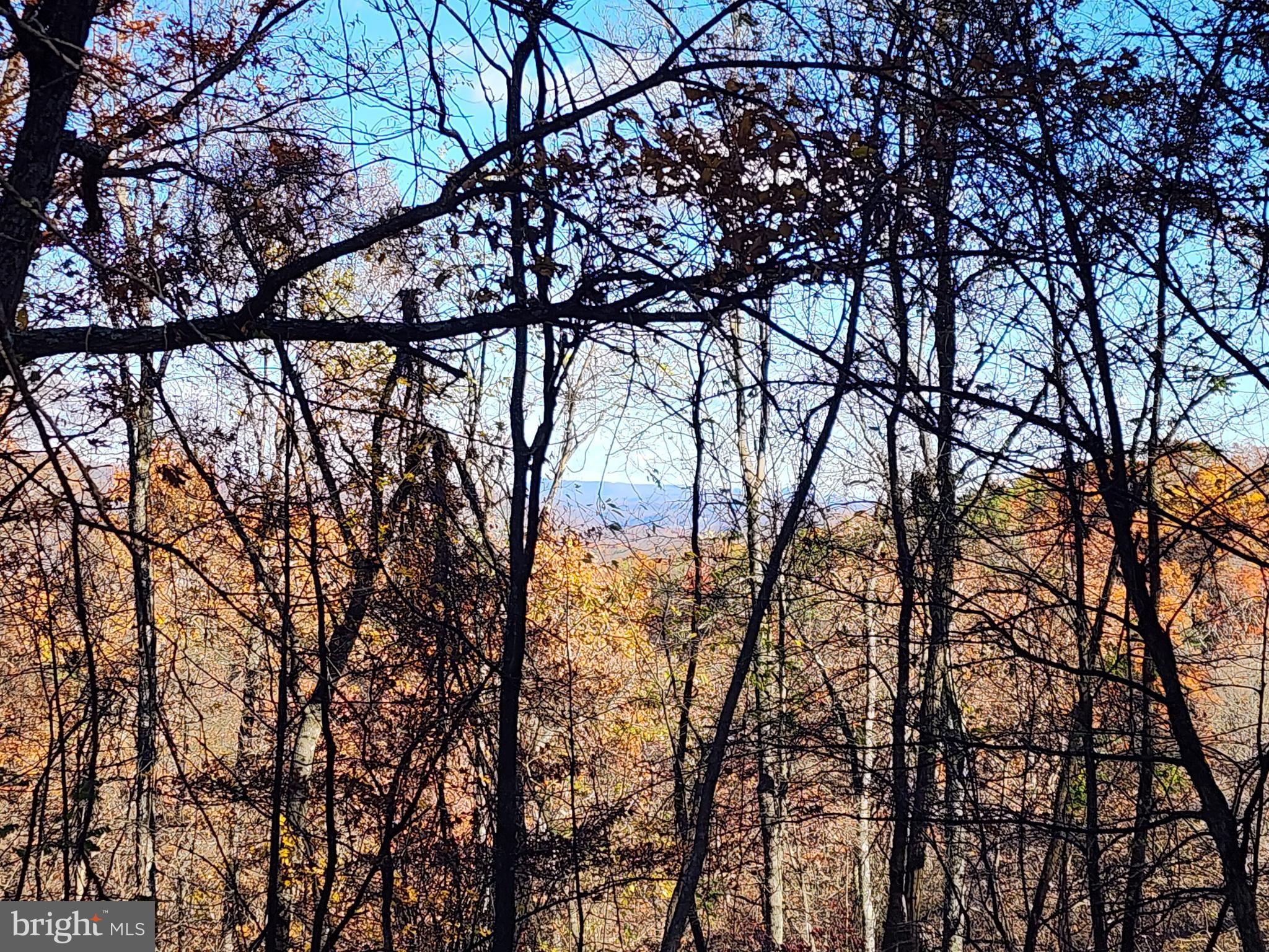 SHADOW KNOLLS - Land