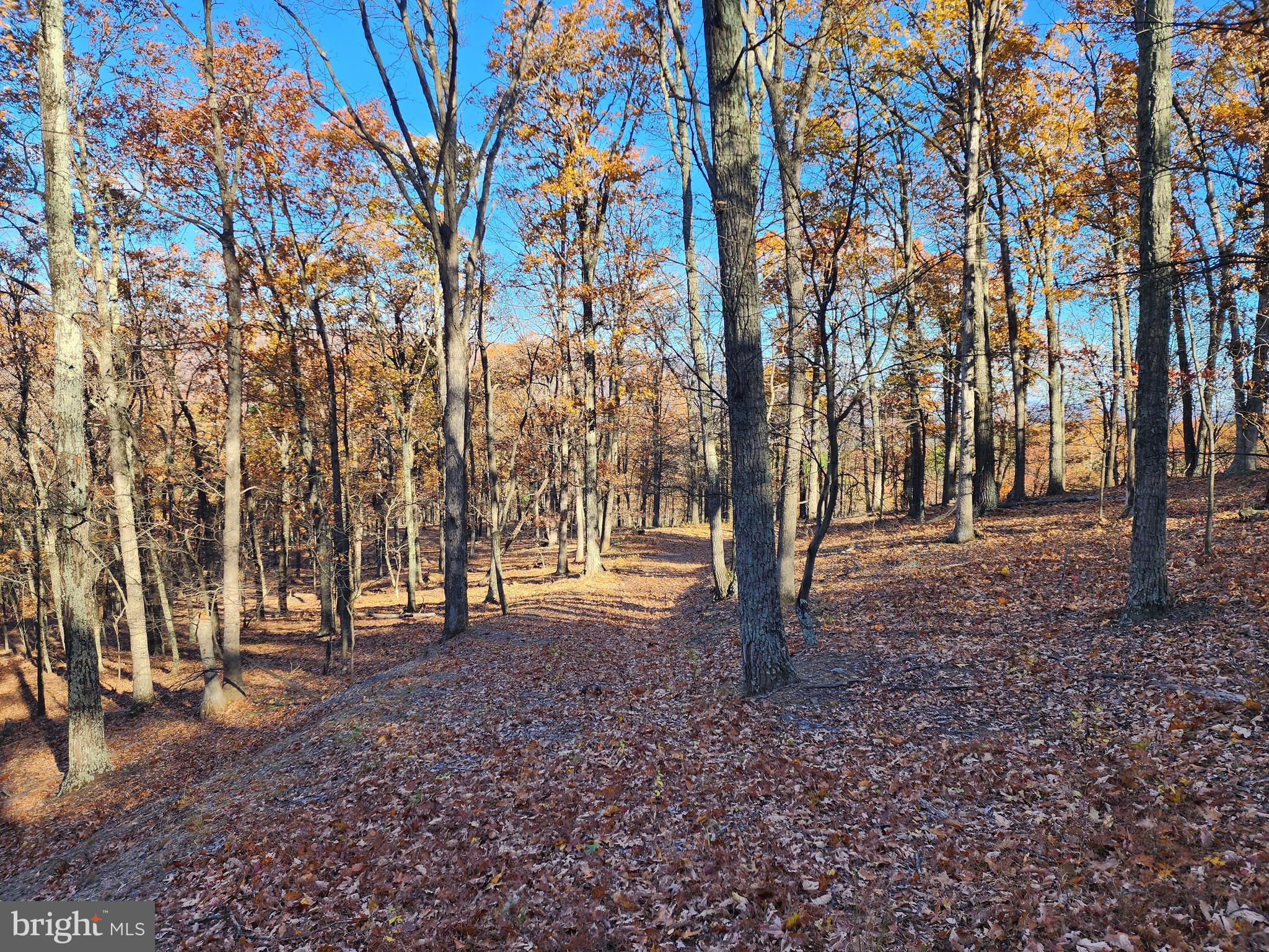 SHADOW KNOLLS - Land