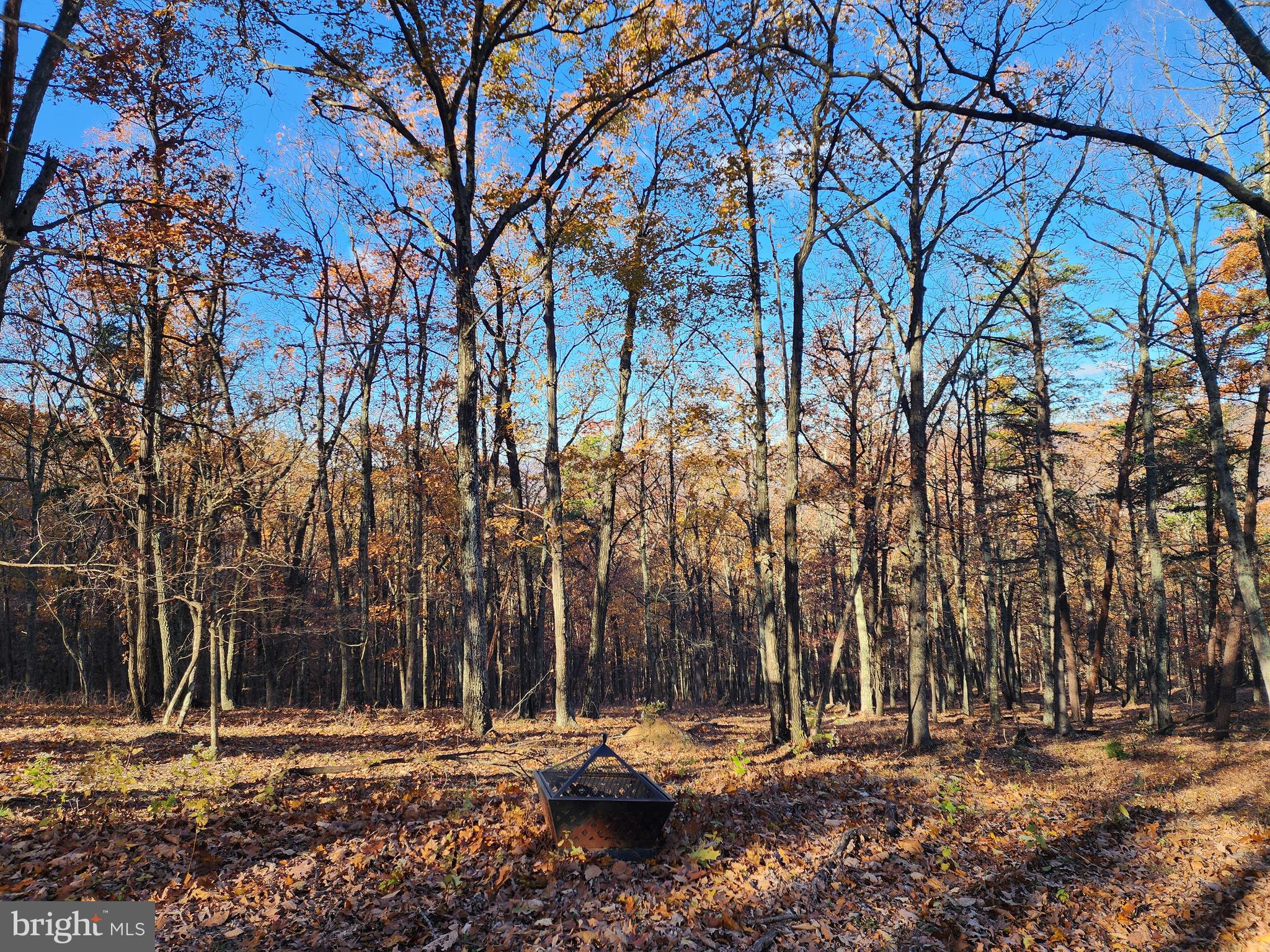 SHADOW KNOLLS - Land