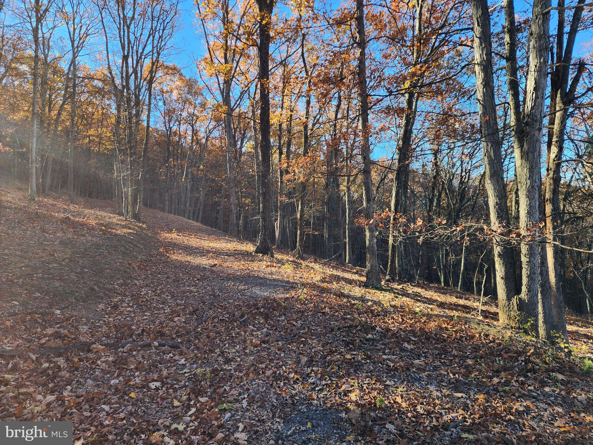 SHADOW KNOLLS - Land