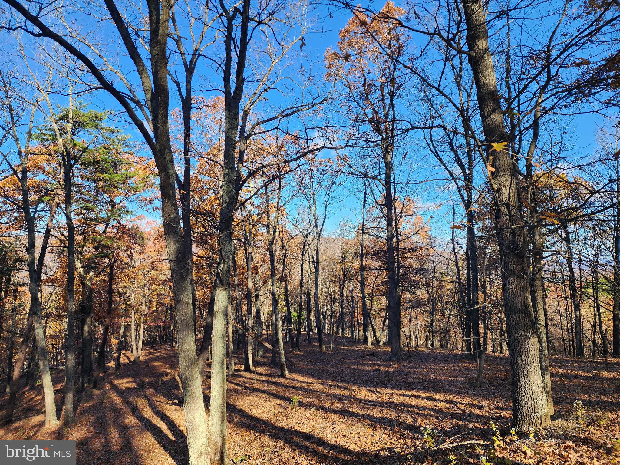 SHADOW KNOLLS - Land