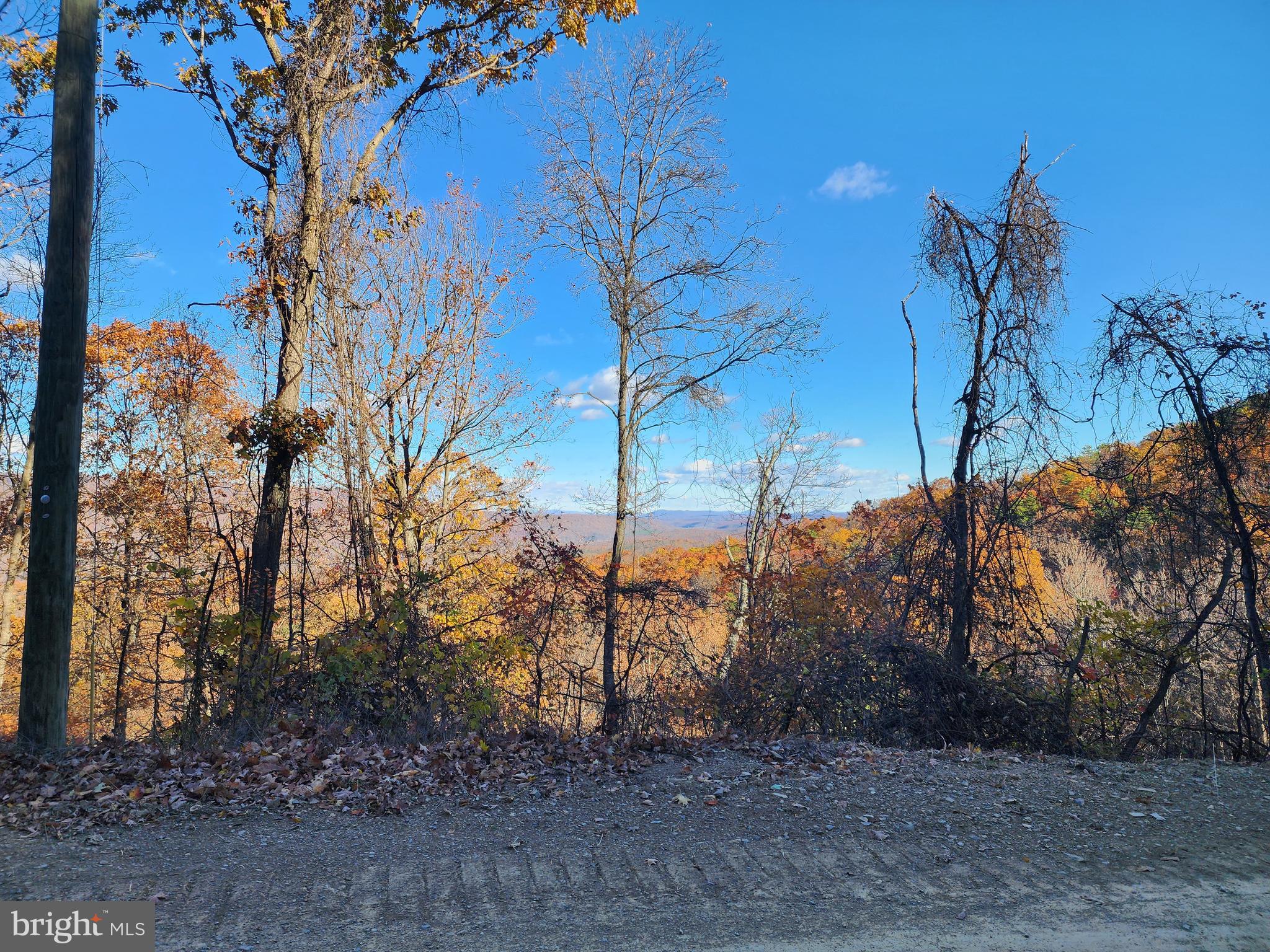 SHADOW KNOLLS - Land