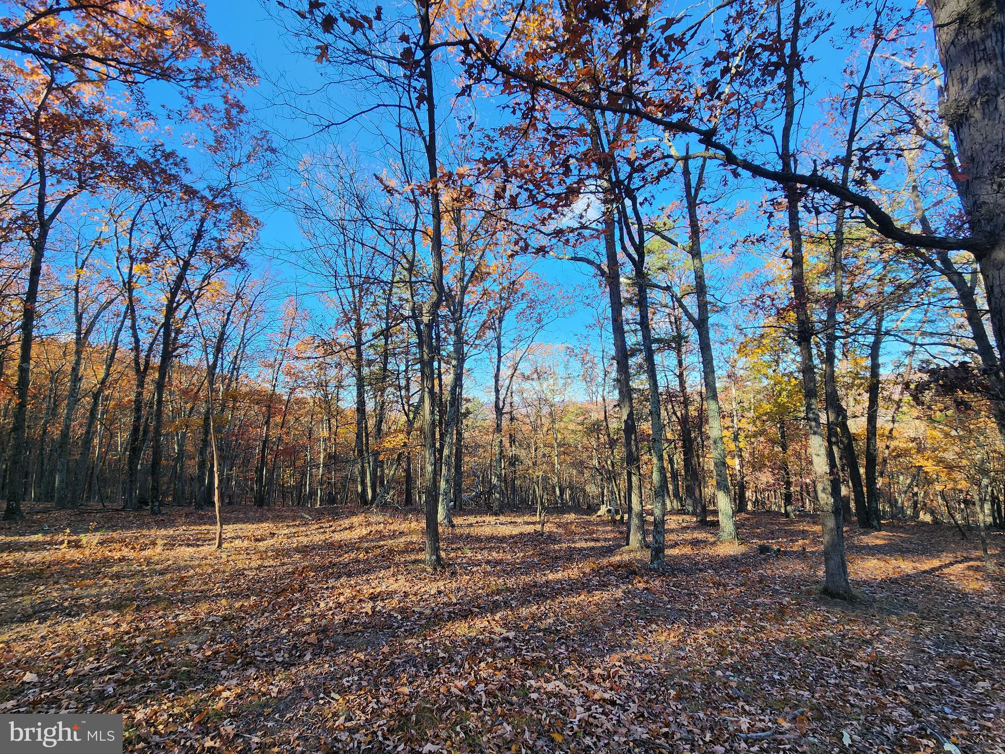 SHADOW KNOLLS - Land