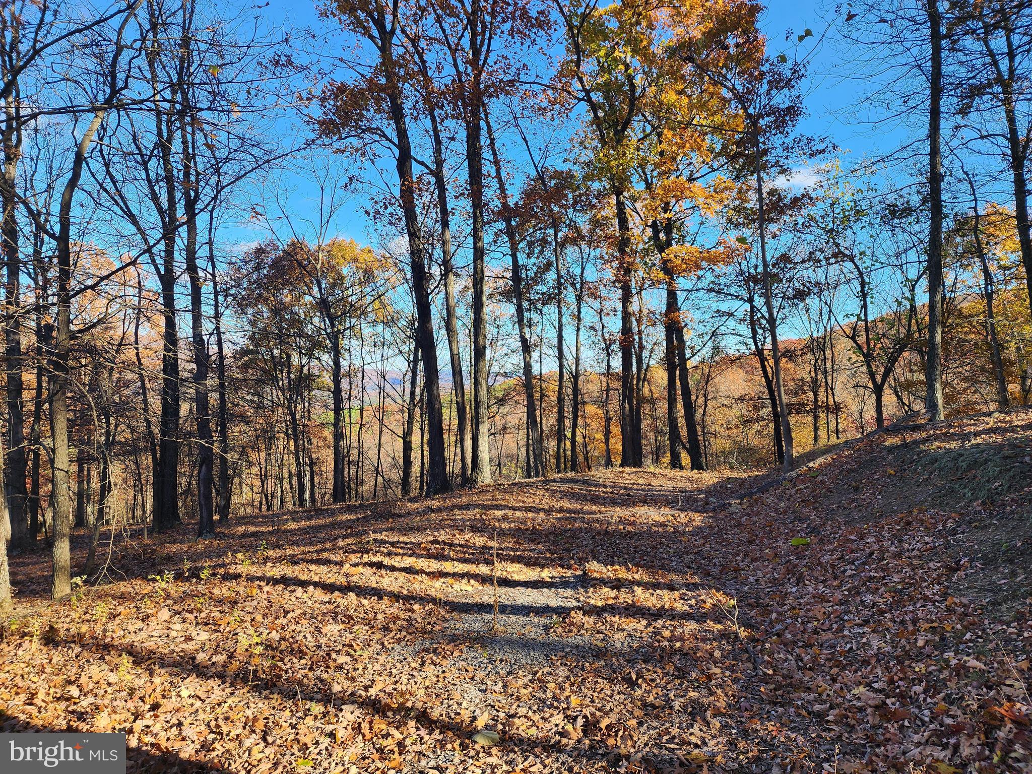 SHADOW KNOLLS - Land