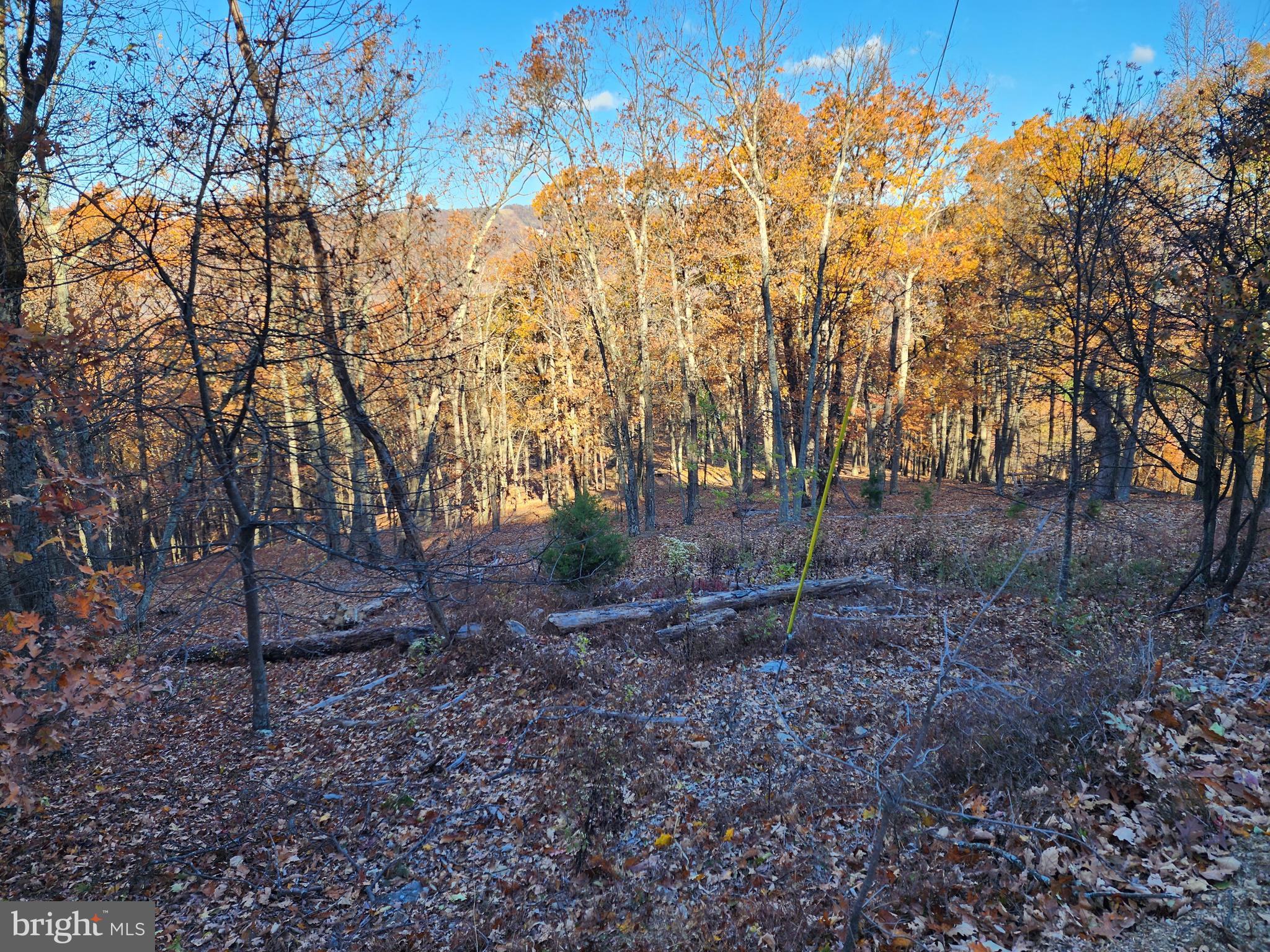 SHADOW KNOLLS - Land