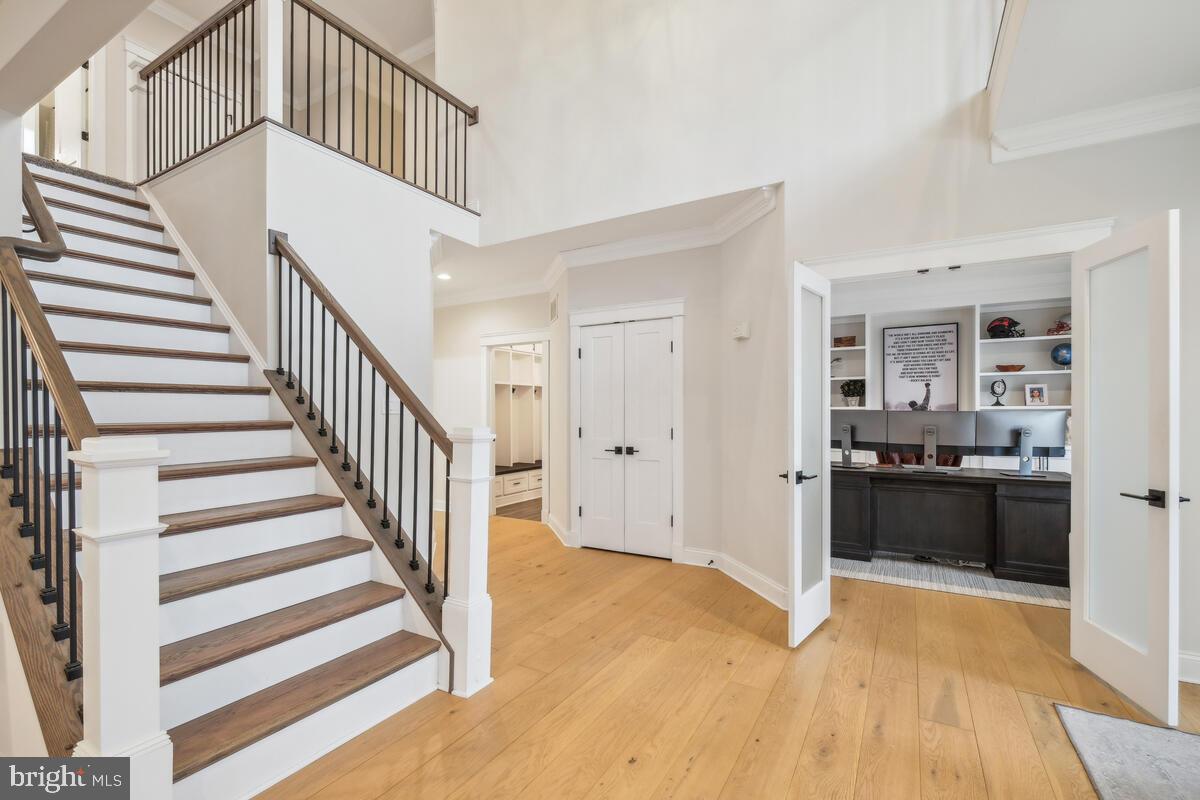 1906 KINGS FOREST TRAIL