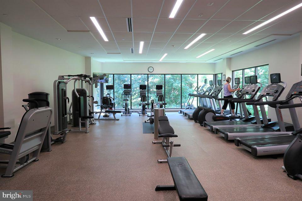 MONTEBELLO CONDO - Residential Lease