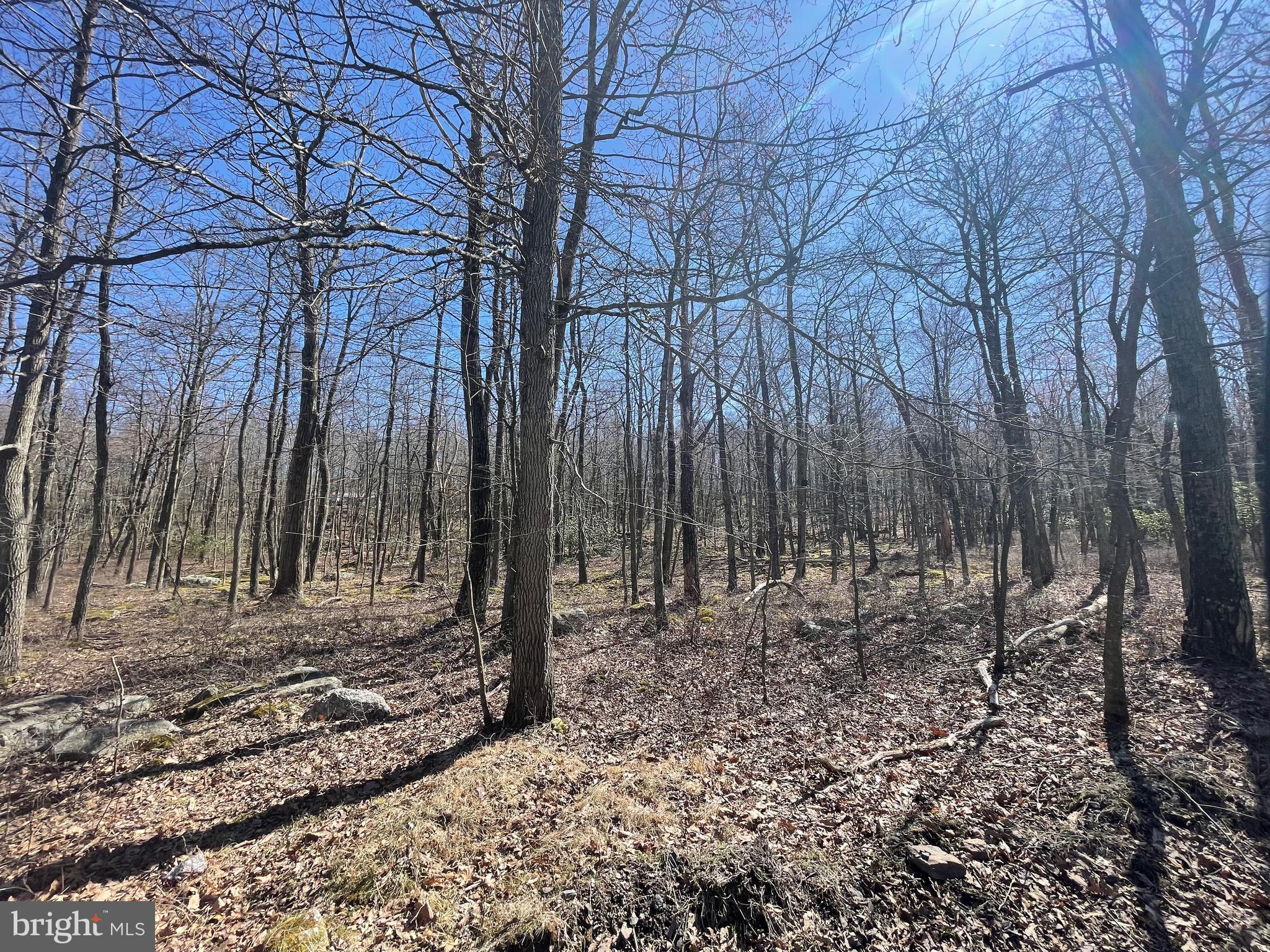 1.2 acre lot on a low traffic street near the edge of the COVE VILLAGE COMMUNITY! These are two adjoining lots being sold together. The dues, capital contribution fee, and transfer fee included with the listing reflect this. An unused common area at the back of the property buffers you and prevents building at the rear of the lots. Seasonal views are possible of mountains and valleys across the street from the property. Whether you've been imagining building a second home or just waiting to build that forever home, WAIT NO MORE! Haystack Drive is bordered by hundreds of acres of undeveloped private land making it a tranquil retreat. The Cove Village Community is situated in the foothills of the Poconos and only 1 1/2 hours to New York, With easy access to I-81 your commute to Hazleton, Wilkes Barre, or Scranton is a breeze. Another cost-saving perc of the community is having public water and sewer already in place and ready for you to connect through Aqua of Pa. 750 acres of unoccupied prime hunting, ATV, and snowmobile riding land surround the residential portion of Cove Village and is allocated only for the residents of the community and their guests! Driving through the community, the peace and tranquility will envelop you. At any given moment the deer, turkey, and birds will entertain you in your own backyard. Homes within the community vary from rustic cabins and chalets to traditional ranch or two-story homes and even exquisite new construction or dreamy mountain log homes. There really is something for everyone. The approximately 278 acres of residential homes and lots are occupied by full-time residents, part-time vacation homes, and even some snowbird second homes. Cove Village offers an abundance of amenities including a swimming pool, stocked fishing lake, a basketball court, tennis courts, a volleyball court, 2 playgrounds, a baseball field, ATV paths, hunting, a mini golf course, walking paths, and year-round Community events. I can't forget to mention the beautiful lodge ideal to rent for family gatherings. This lot and community just might be exactly what you've been looking for. Air B and B are not permitted. Camping on vacant lots is not permitted. Mobile/Manufactured homes are not permitted. Modular and custom built homes with the builder of your choosing are permitted. All homes must meet the minimum square footage requirements of 1400 square feet. The community maintains the roads and snow removal. Trash collection is also provided. An appointment is required to view due to the gated community. Call to schedule your tour today!