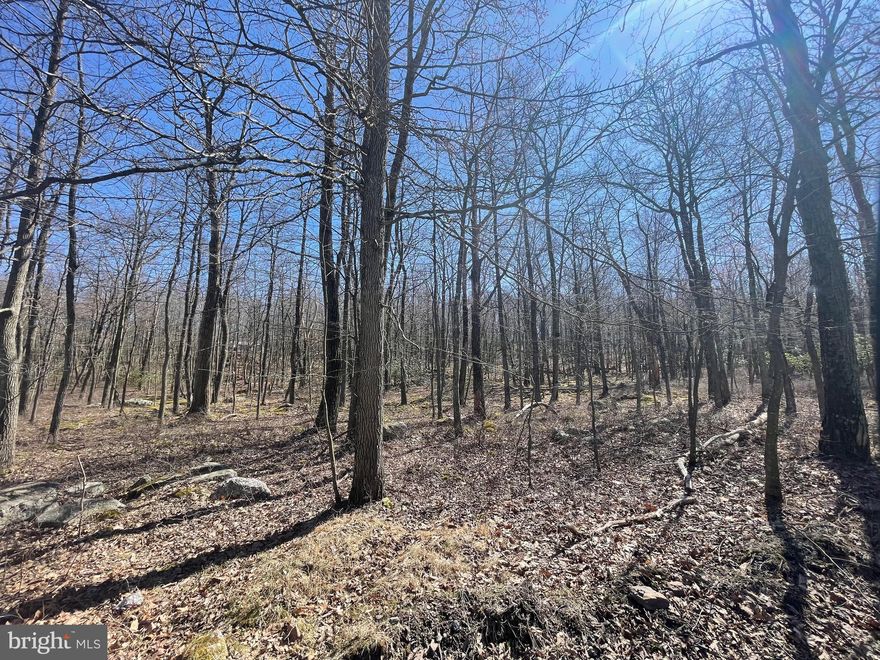 If you are thinking of building in the next few years, SECURE YOUR LOT NOW!!!  This is an amazing price for a level 1.2 acre lot on a low traffic street near the edge of the COVE VILLAGE COMMUNITY!  Public water and sewer connections are available at the street, offering immense savings when building.  These are two adjoining lots being sold together.  The dues, capital contribution fee, and transfer fee included with the listing reflect this.   An unused common area at the back of the property buffers you and prevents building at the rear of the lots.  Seasonal views are possible of mountains and valleys across the street from the property.  Whether you've been imagining building a second home or just waiting to build that forever home, WAIT NO MORE!  Haystack Drive is bordered by hundreds of acres of undeveloped private land making it a tranquil retreat.   The Cove Village Community is situated in the foothills of the Poconos and only 1 1/2 hours to New York,  With easy access to I-81 your commute to Hazleton, Wilkes Barre, or Scranton is a breeze.  750 acres of unoccupied prime hunting, ATV, and snowmobile riding land surround the residential portion of Cove Village and is allocated only for the residents of the community and their guests!  Driving through the community, the peace and tranquility will envelop you.  At any given moment the deer, turkey, and birds will entertain you in your own backyard.   Homes within the community vary from rustic cabins and chalets to traditional ranch or two-story homes and even exquisite new construction or dreamy mountain log homes.  There really is something for everyone.  The approximately 278 acres of residential homes and lots are occupied by full-time residents, part-time vacation homes, and even some snowbird second homes.  Cove Village offers an abundance of amenities including a swimming pool, stocked fishing lake, a basketball court, tennis courts, a volleyball court, 2 playgrounds, a baseball field, ATV paths, hunting, a mini golf course, walking paths, and year-round Community events.  I can't forget to mention the beautiful lodge ideal to rent for family gatherings.   This lot and community just might be exactly what you've been looking for.  Air B and B are not permitted. Camping on vacant lots is not permitted.  Mobile/Manufactured homes are not permitted.  Modular and custom built homes with the builder of your choosing are permitted.  All homes must meet the minimum square footage requirements of 1400 square feet.  The community maintains the roads and snow removal.  Trash collection is also provided.   An appointment is required to view due to the gated community.  Call to schedule your tour today!