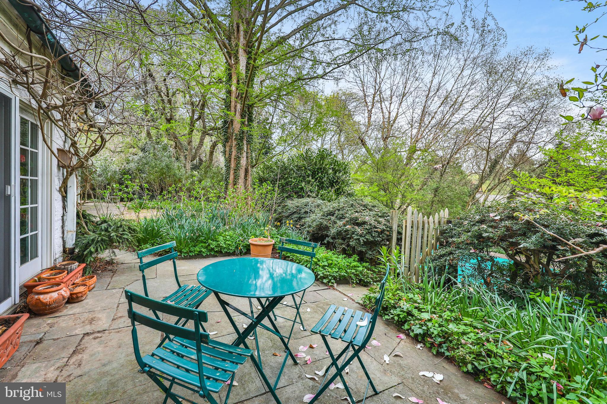 CHESTNUT HILL - Residential