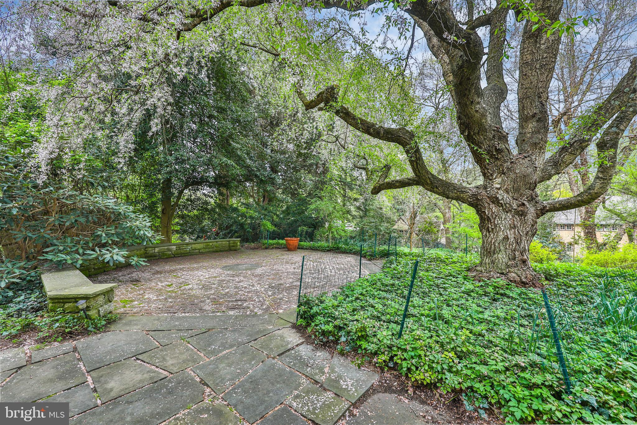 CHESTNUT HILL - Residential