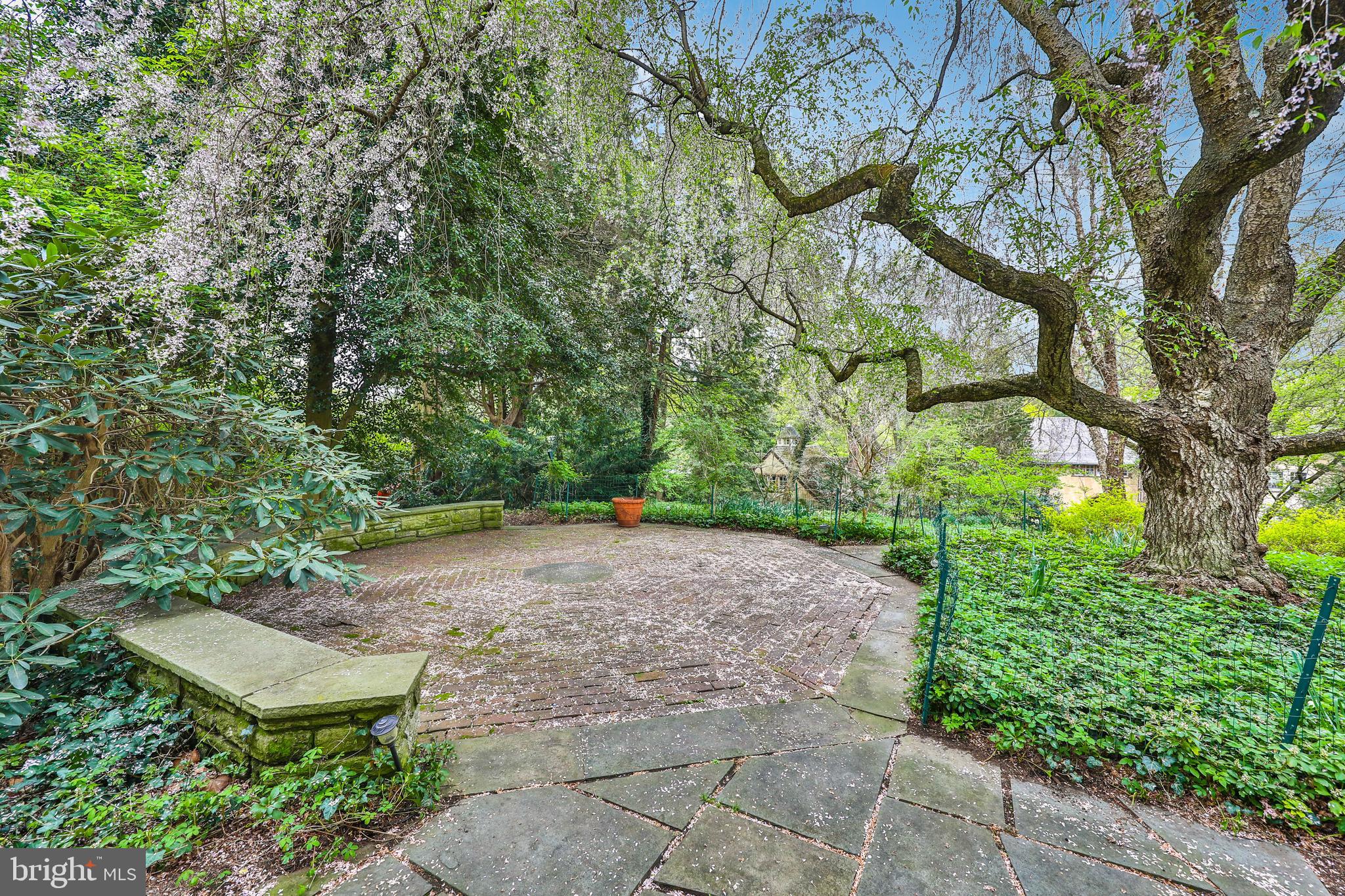 CHESTNUT HILL - Residential