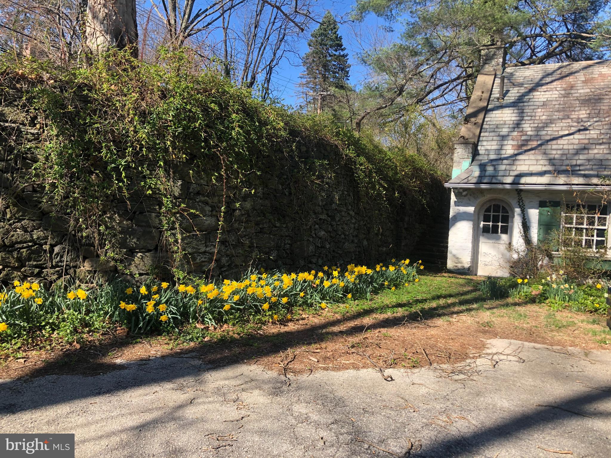 CHESTNUT HILL - Residential