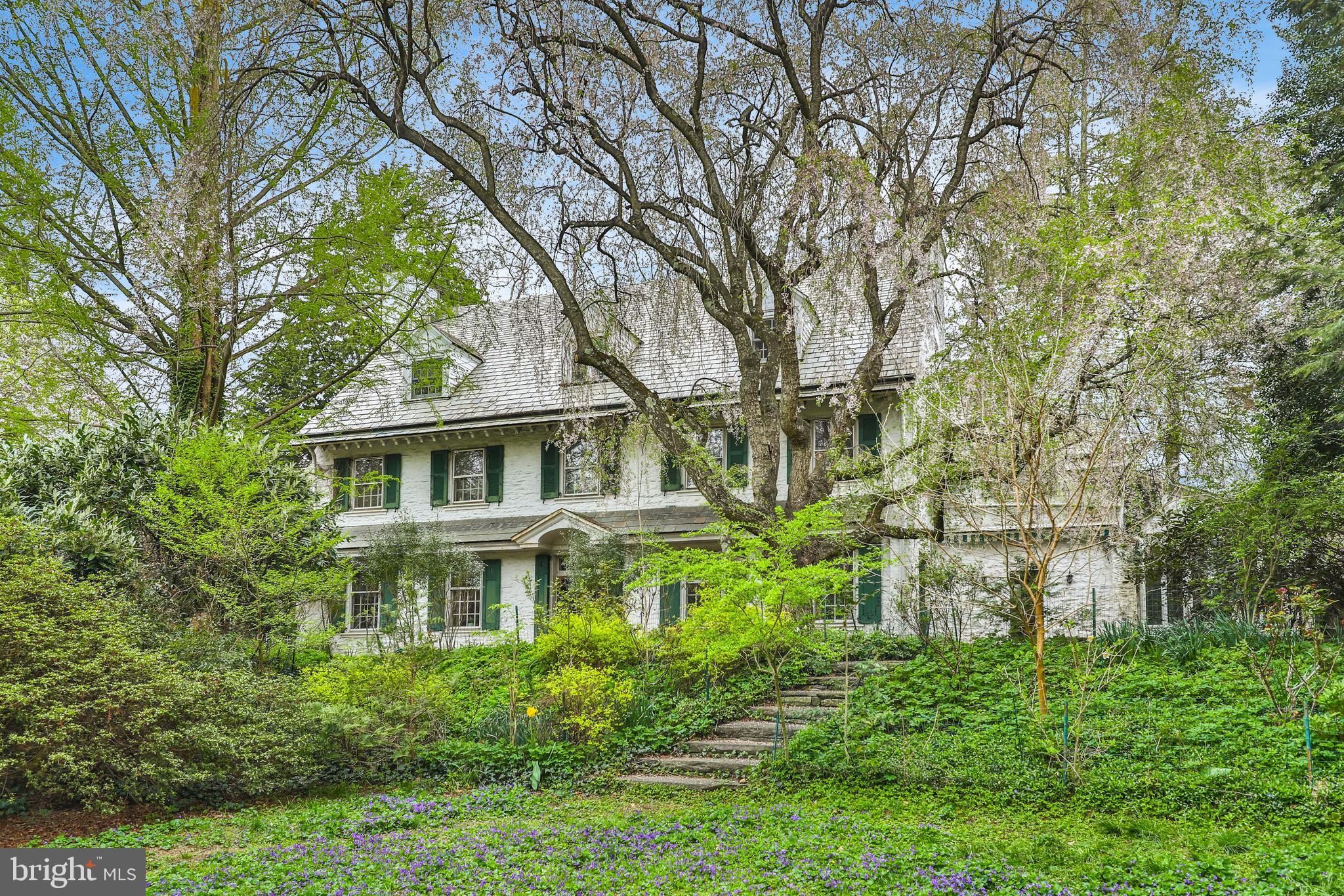 CHESTNUT HILL - Residential