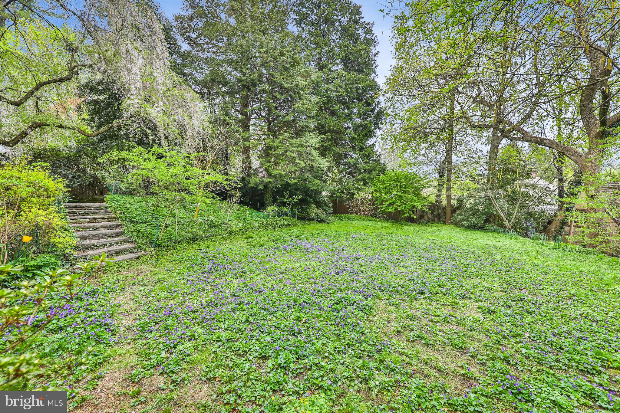 CHESTNUT HILL - Residential